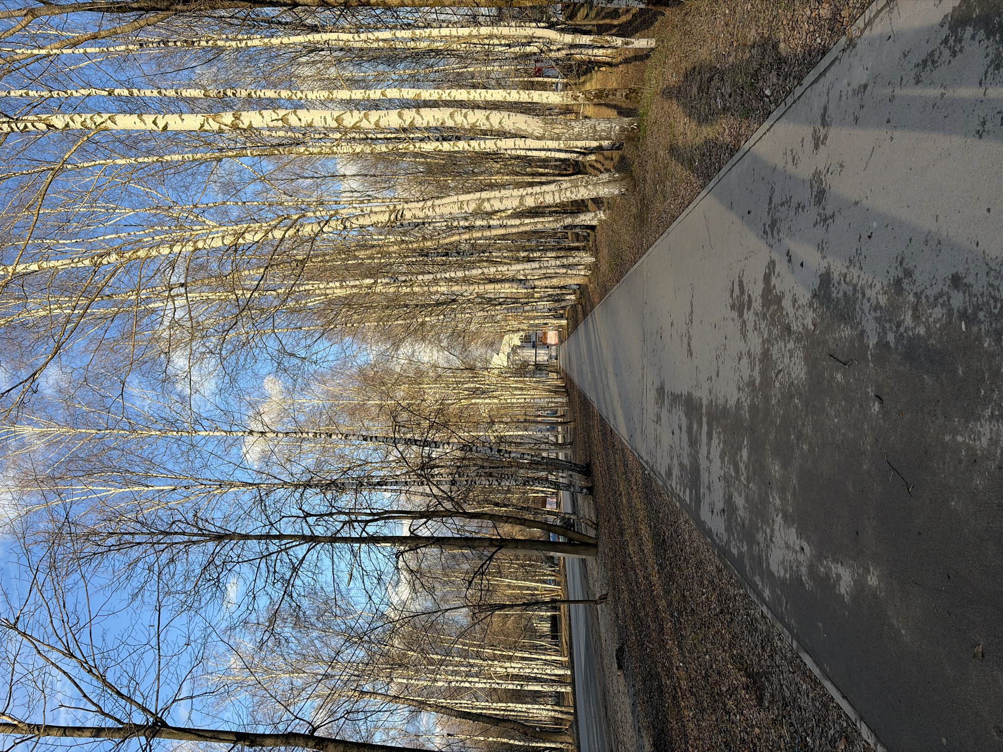Spring afternoon stroll documented across parks and streets in Perm