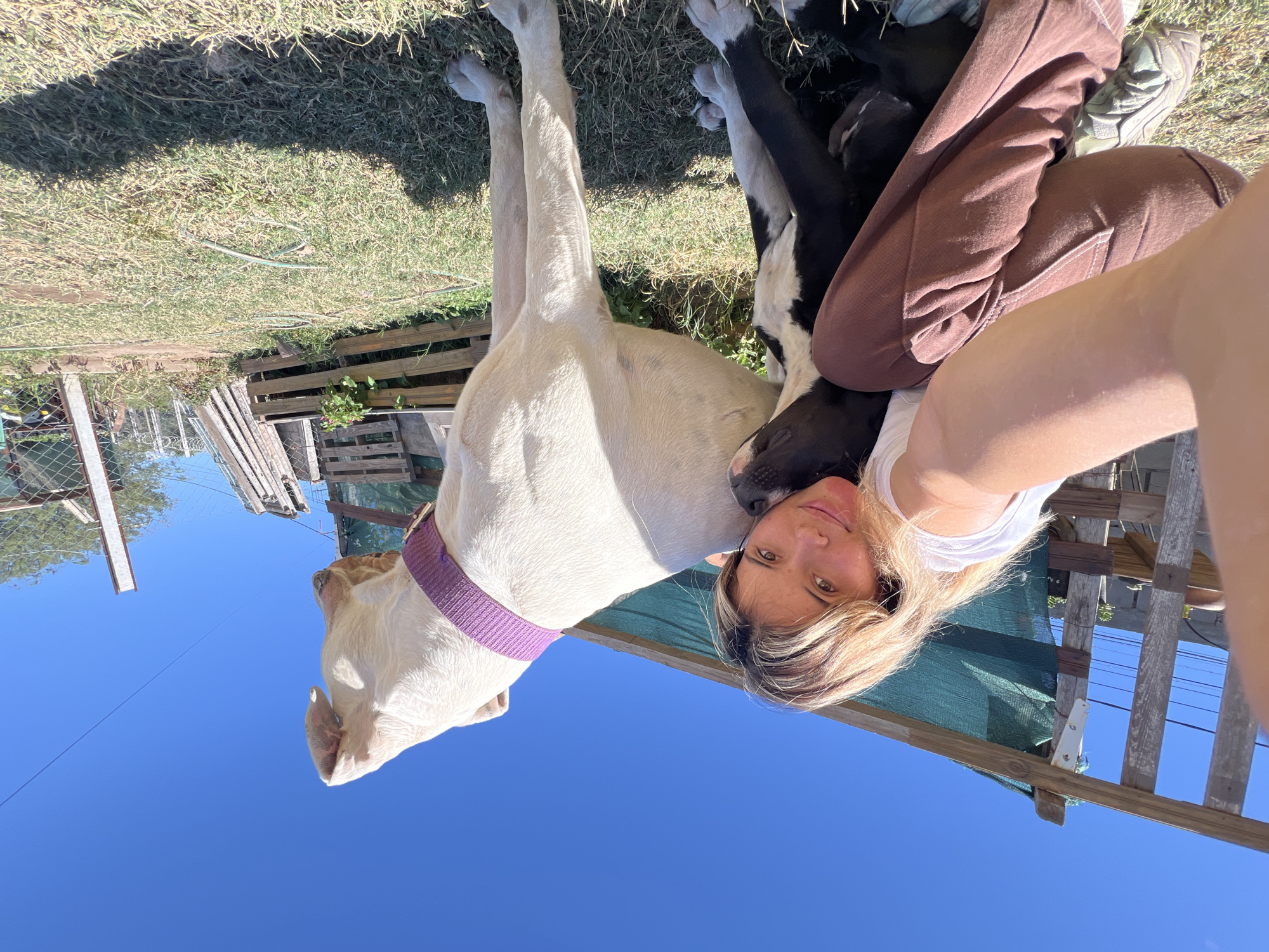 Woman takes selfies with dogs in Sumalao, Argentina backyard