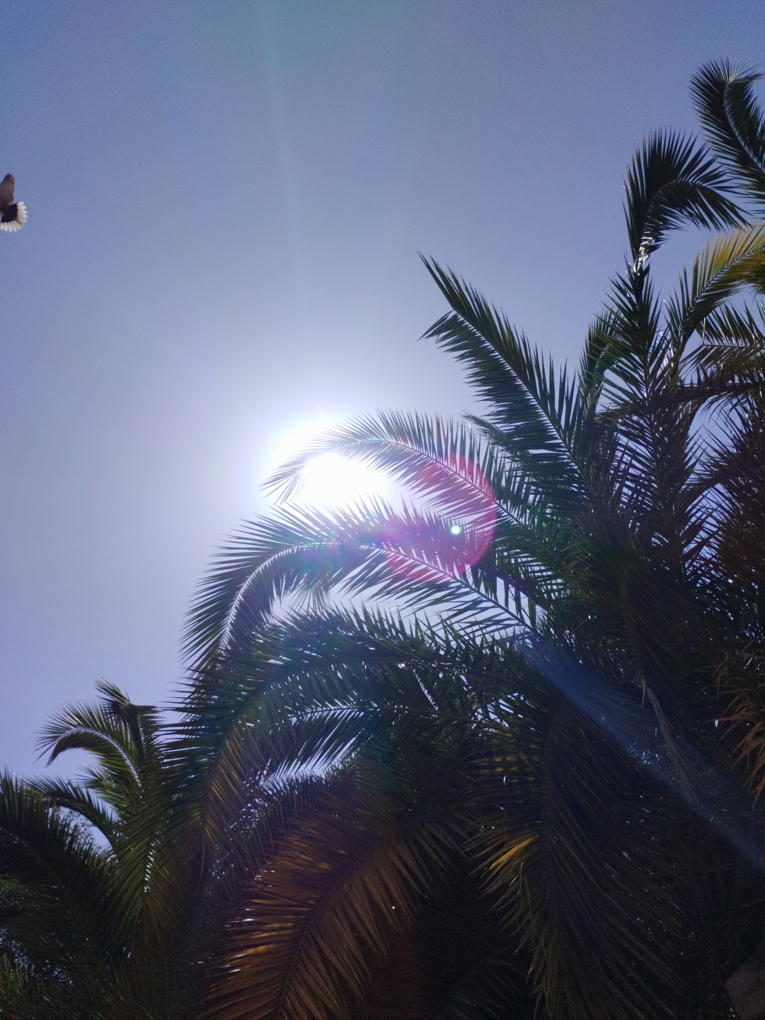 Morning documentation captures diverse scenes across Rubí, Spain