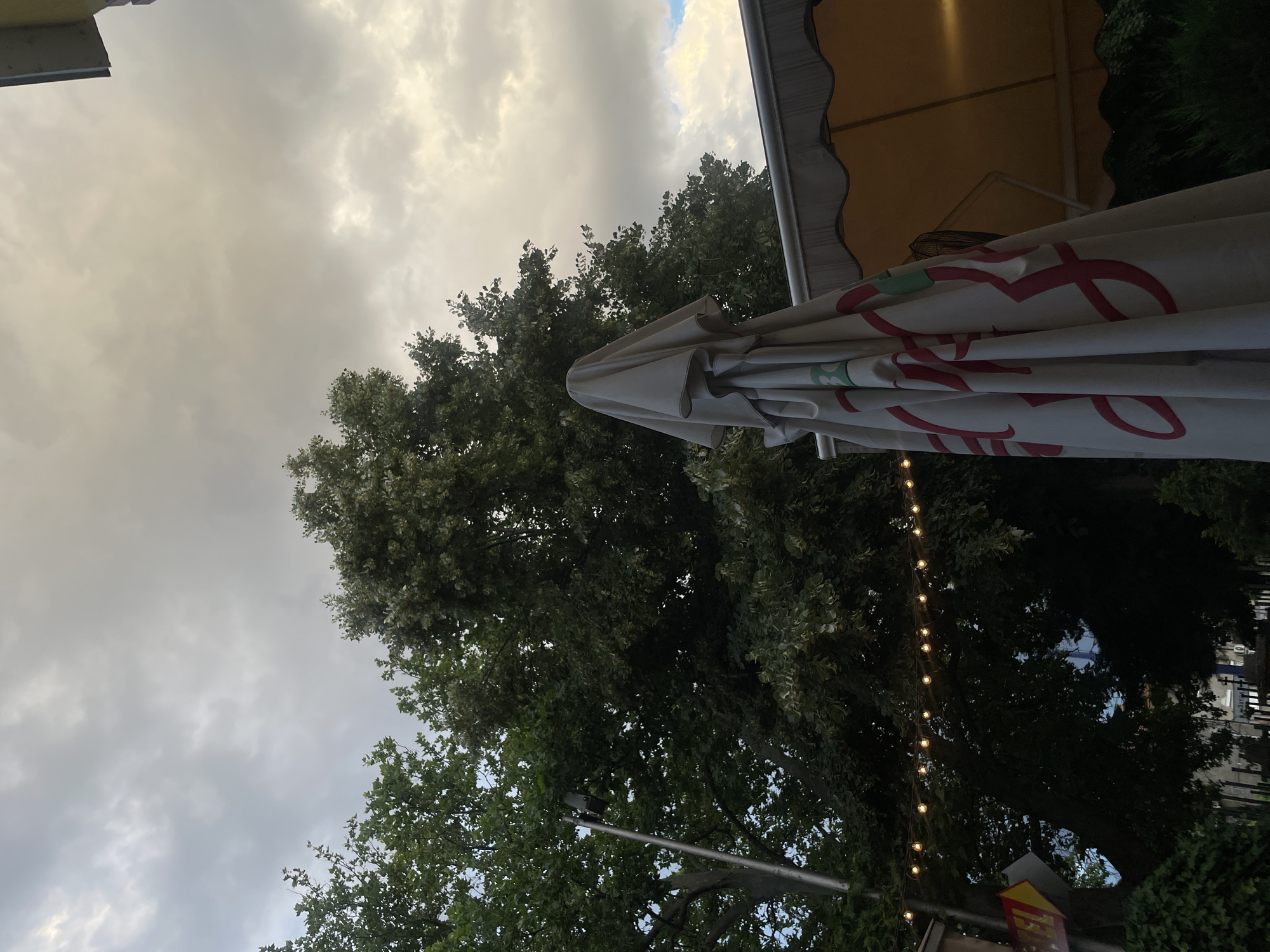 Relaxed afternoon dining, a lounging cat, and patio vibes