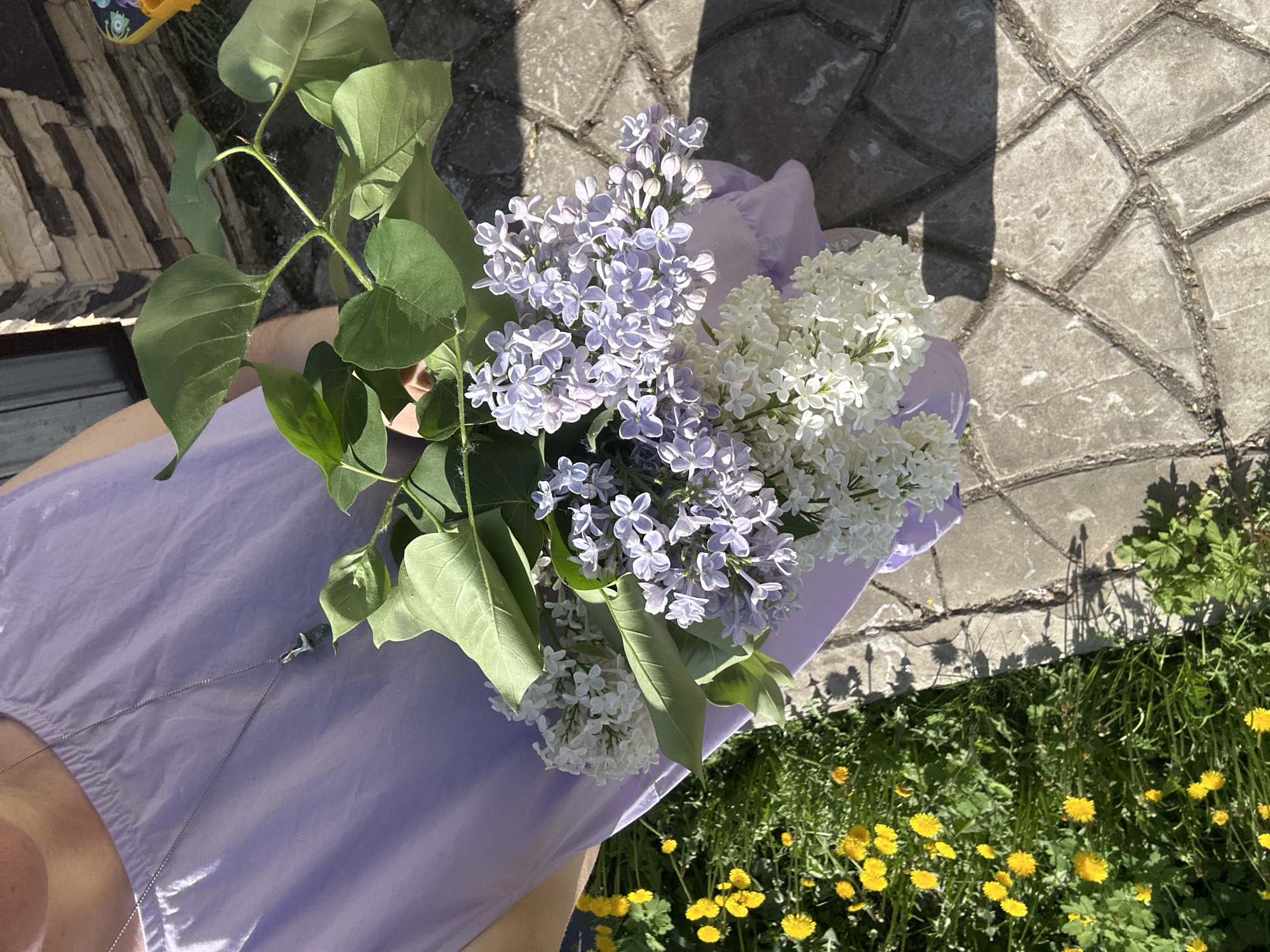 Morning lilac gathering with baby in Nizhny Novgorod park