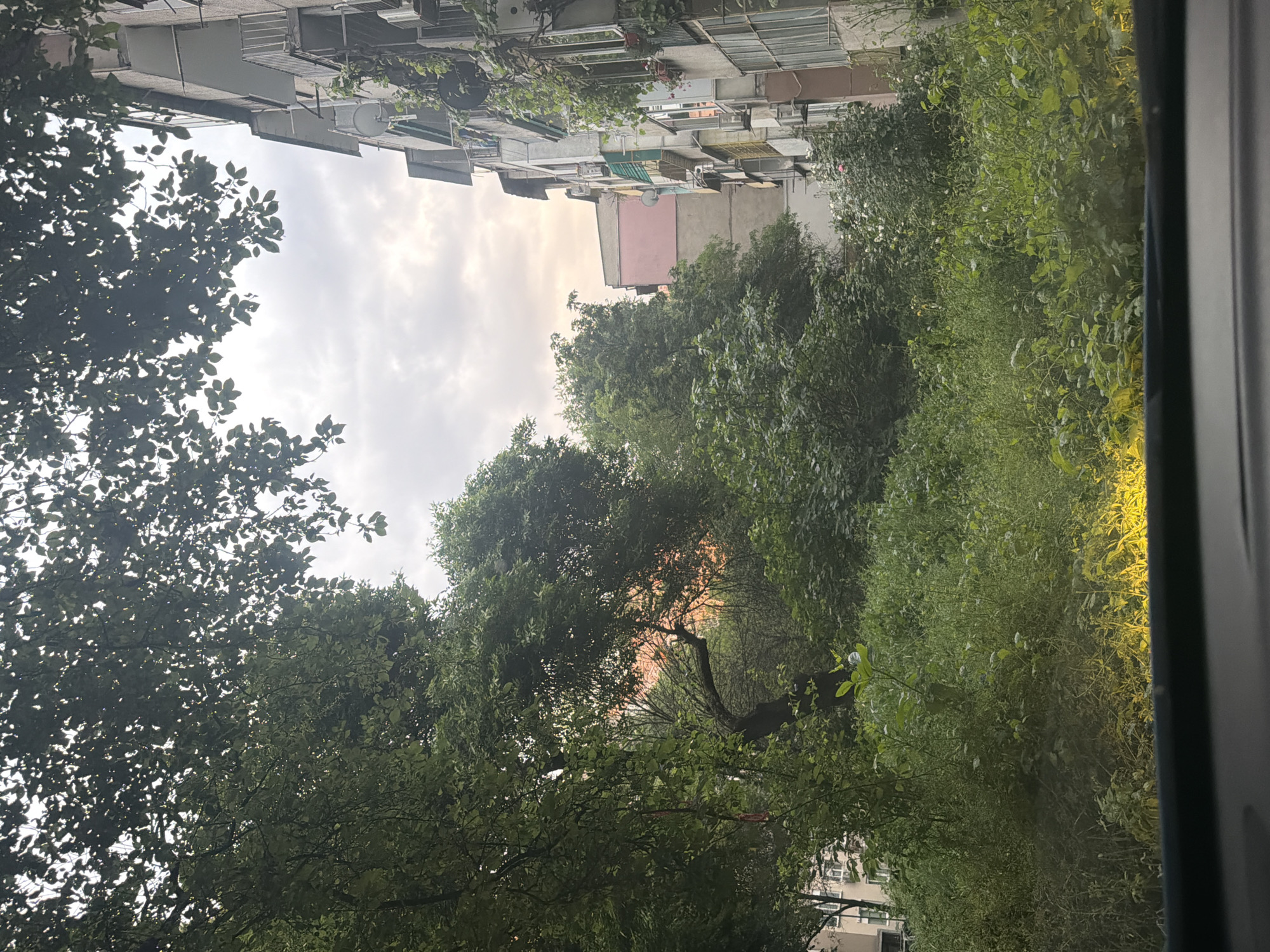 Residential view through trees documented in Plovdiv, Bulgaria