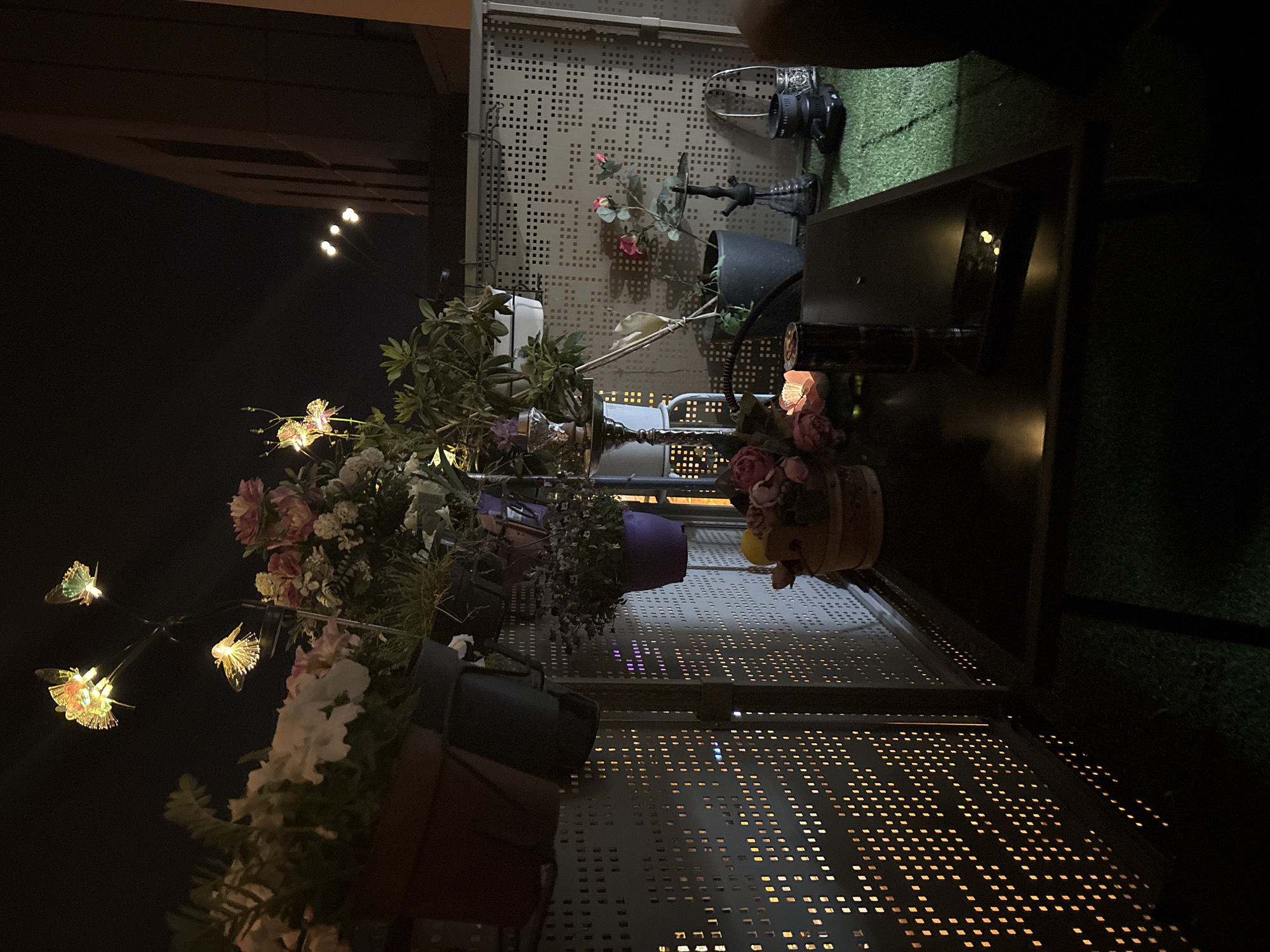 Nighttime garden display captured on Strasbourg patio