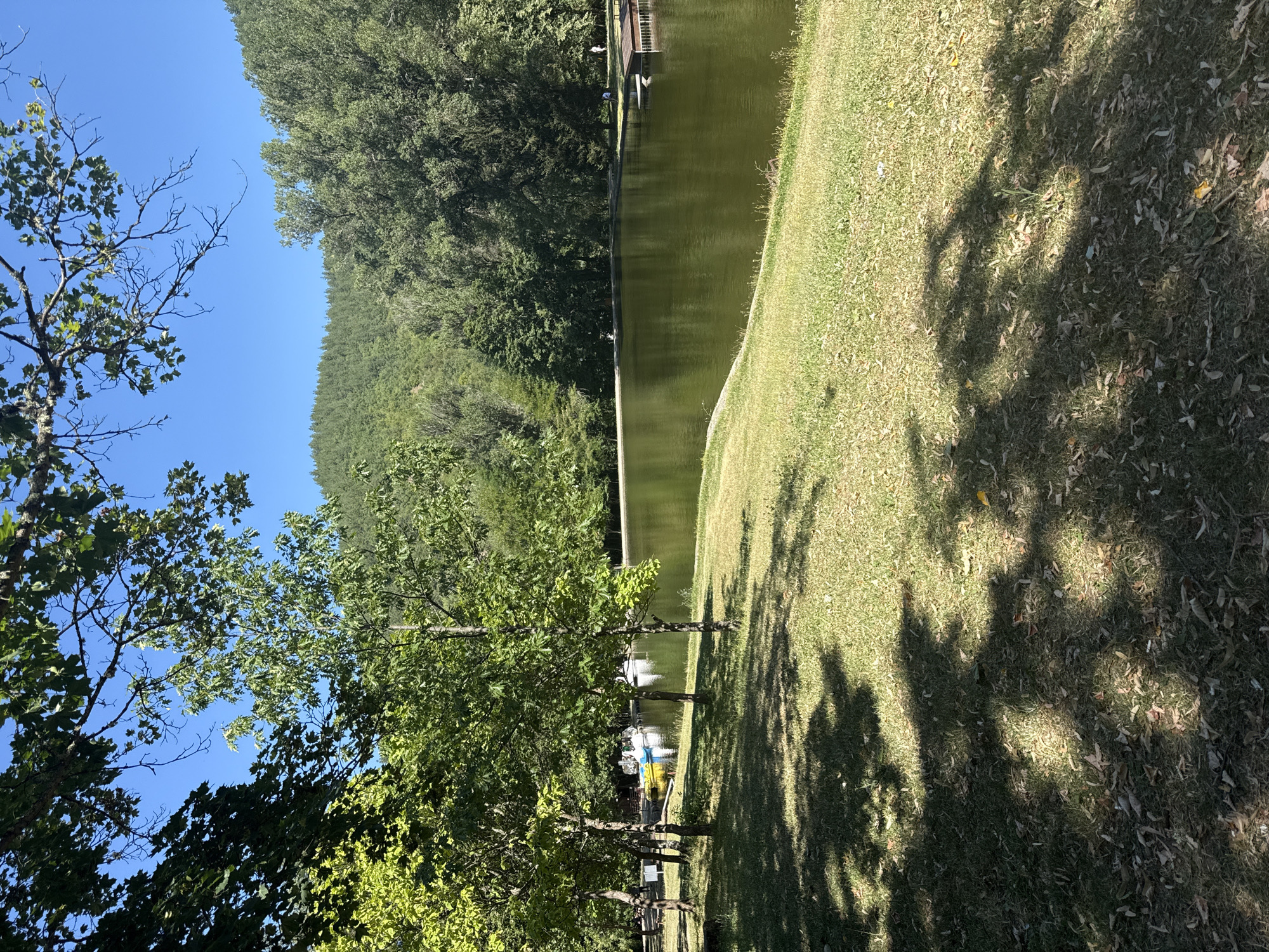 Sunny morning at Bachinovo Park, Blagoevgrad