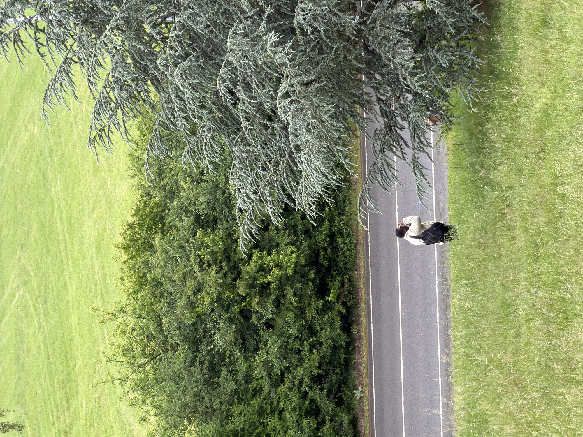 Morning moments captured across Leudelange, Luxembourg