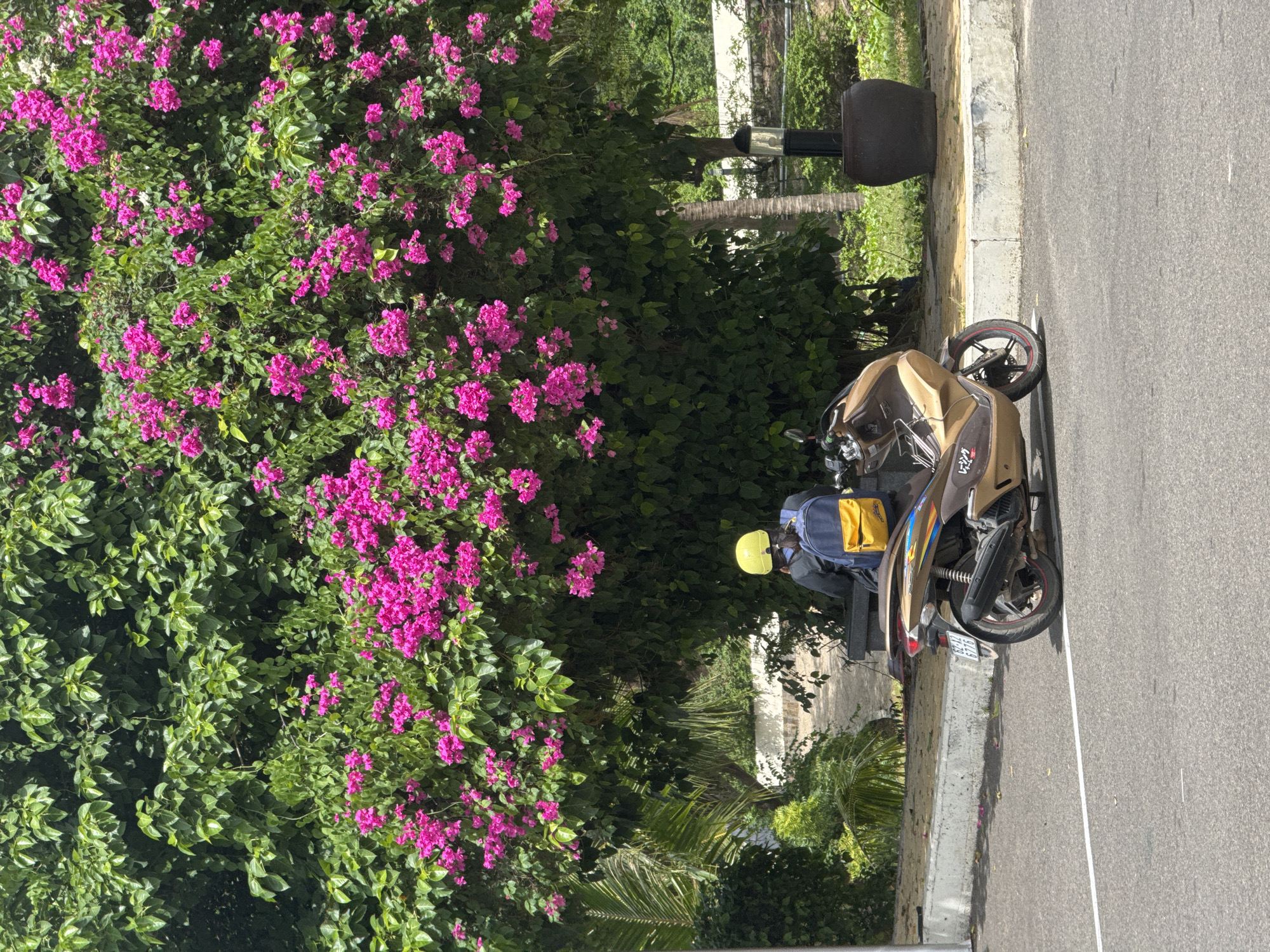 Coastal road stop in Phú Thủy on a cloudy morning