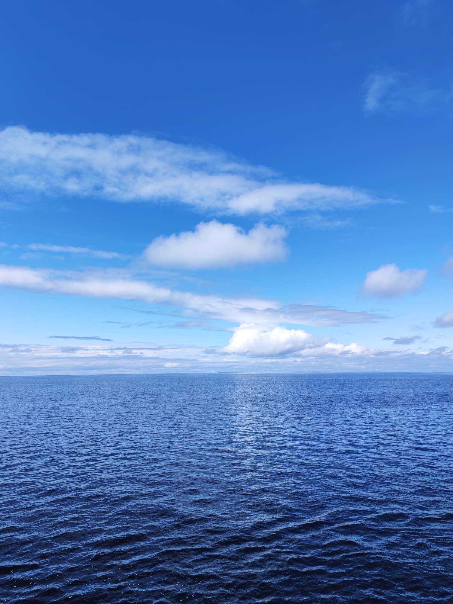 Cargo ship sails Russian waters under clear skies