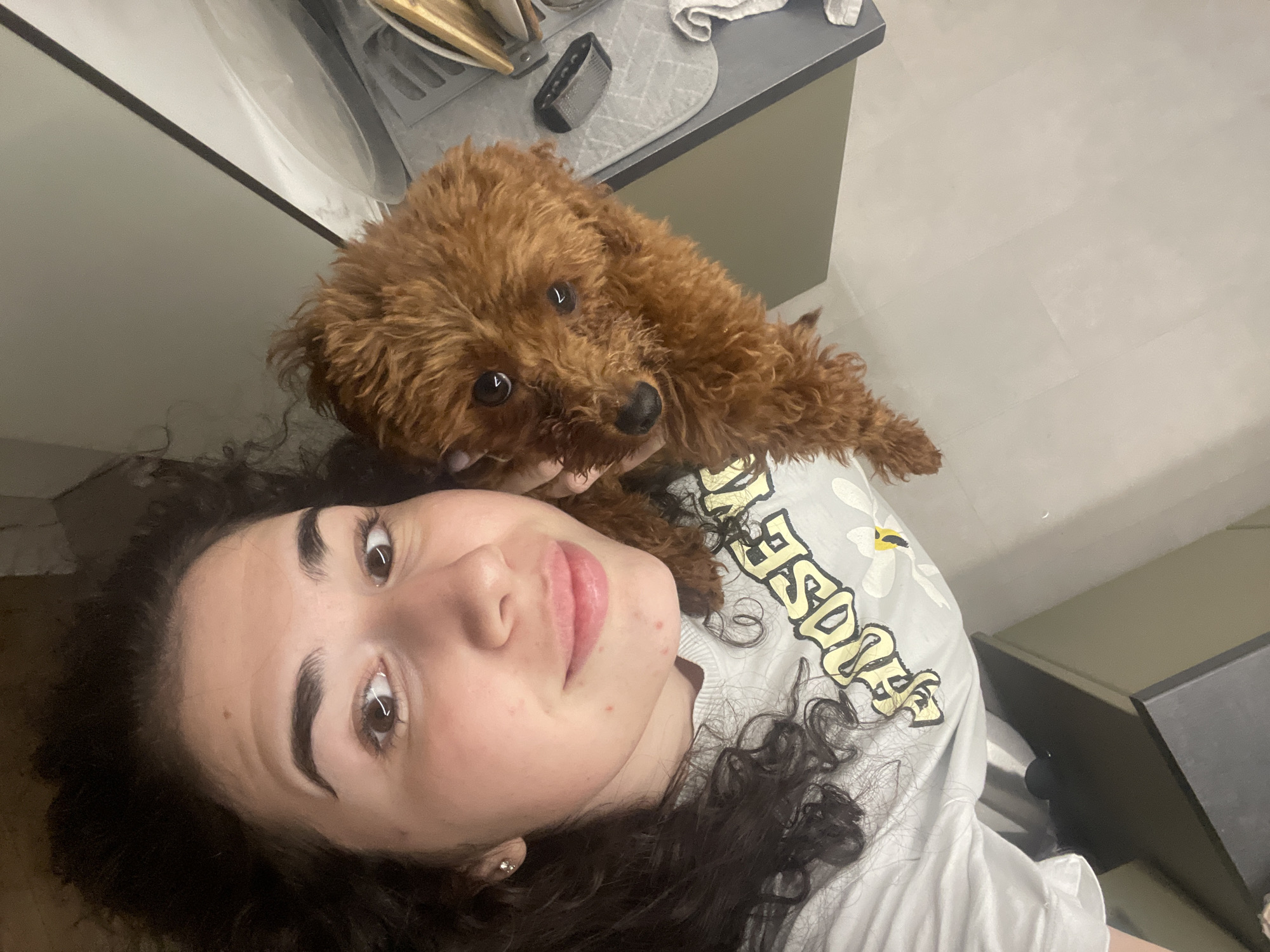 Woman enjoys afternoon playtime with poodle and cat in Sofia