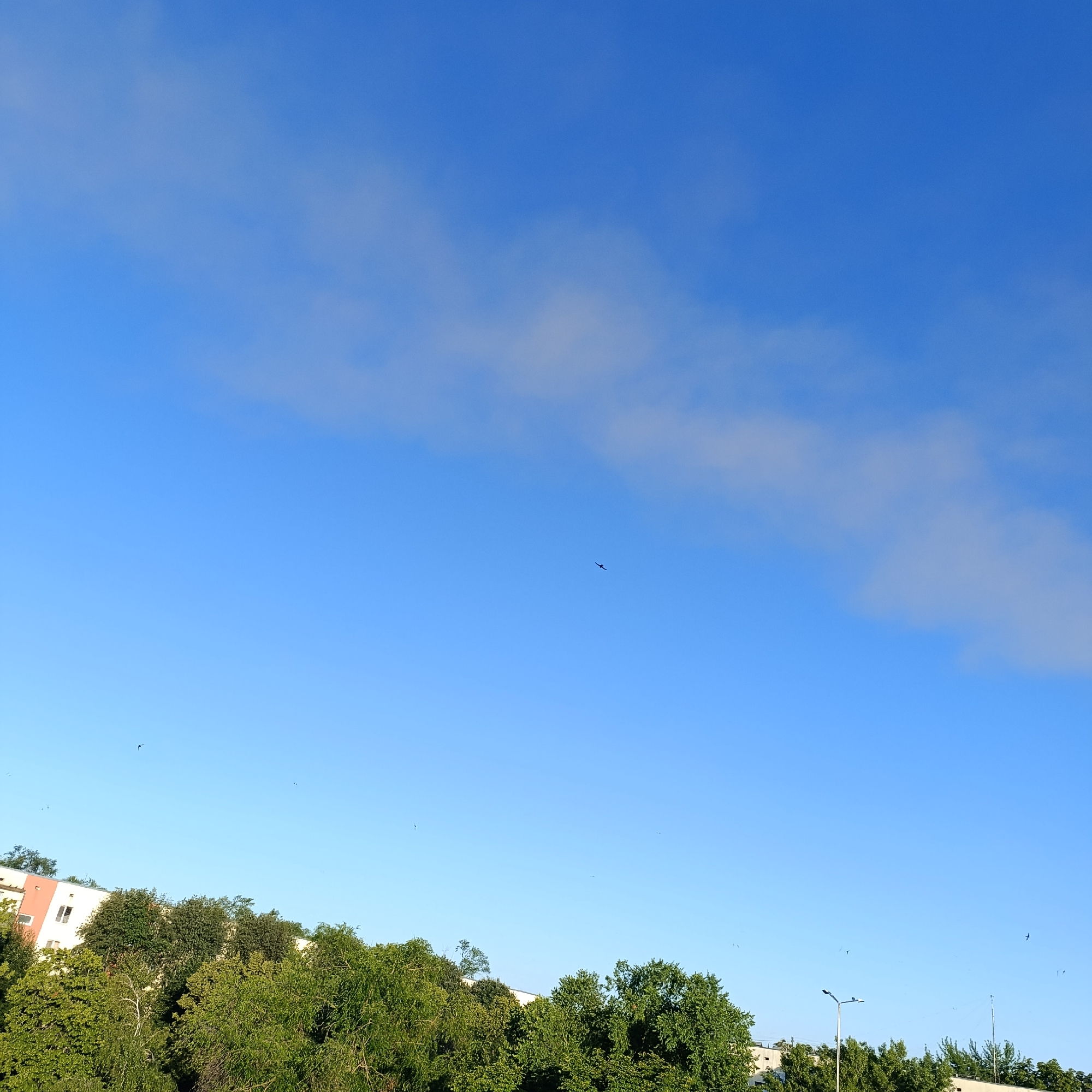 Balcony views over Ladyzhyn's treetops, chimneys visible in distance