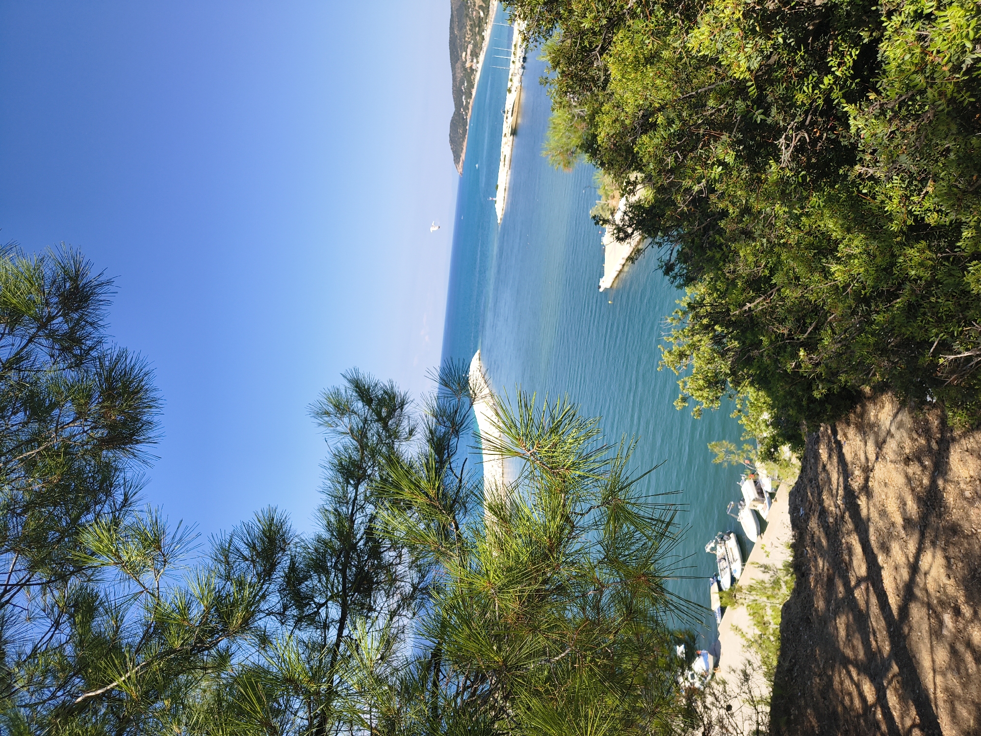 Hillside pine views over Limenaria and the Aegean Sea