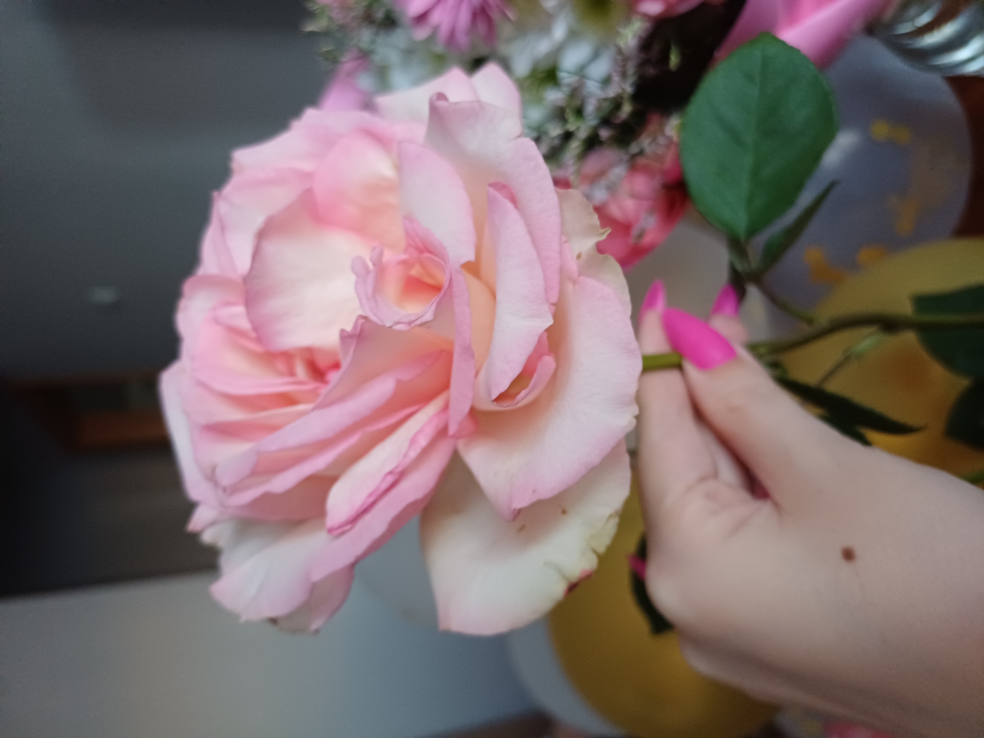 Pink roses, bubbly, and balloons — looks like a celebration