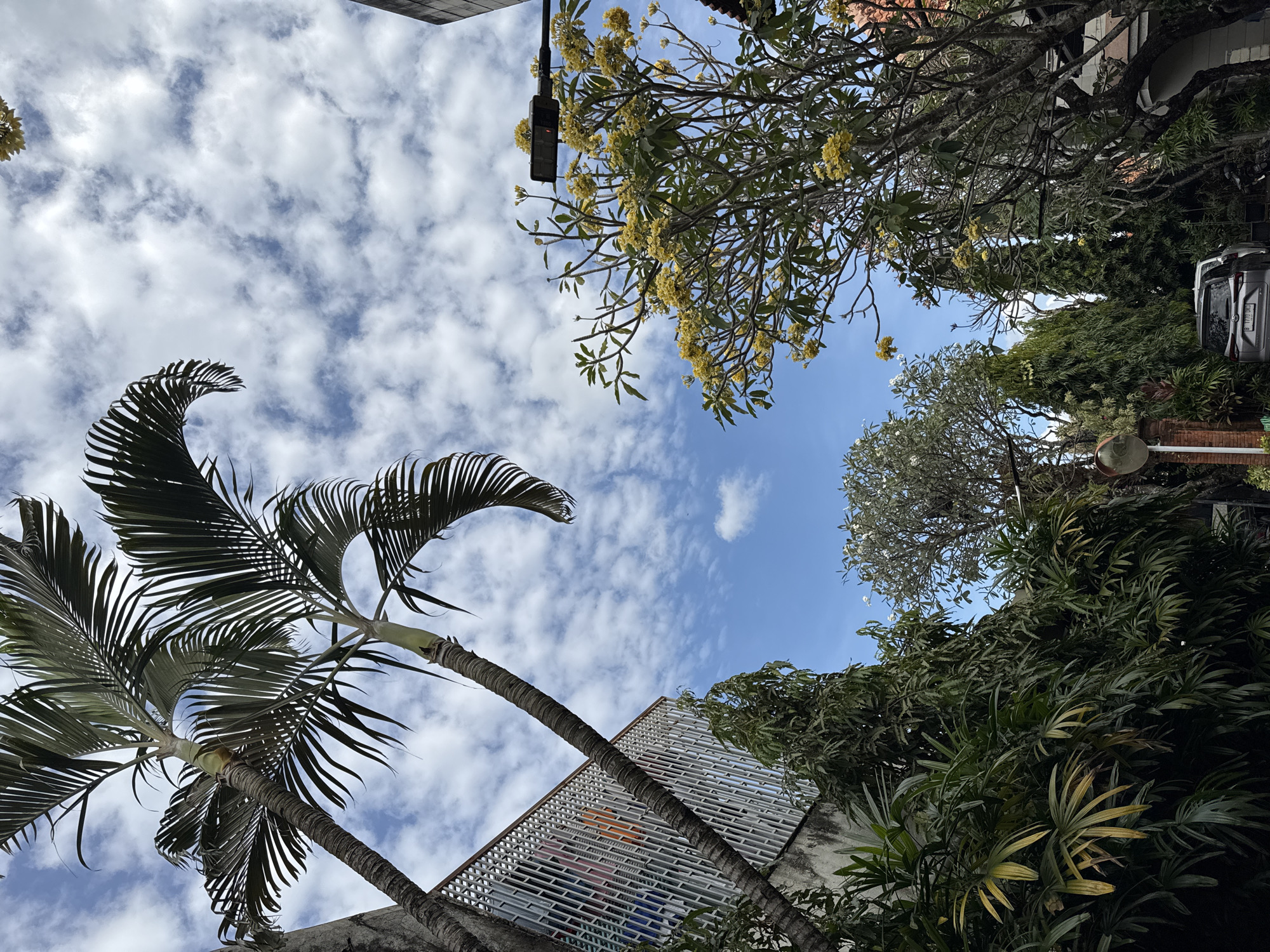 Morning walkabout through a Denpasar property's gardens and grounds