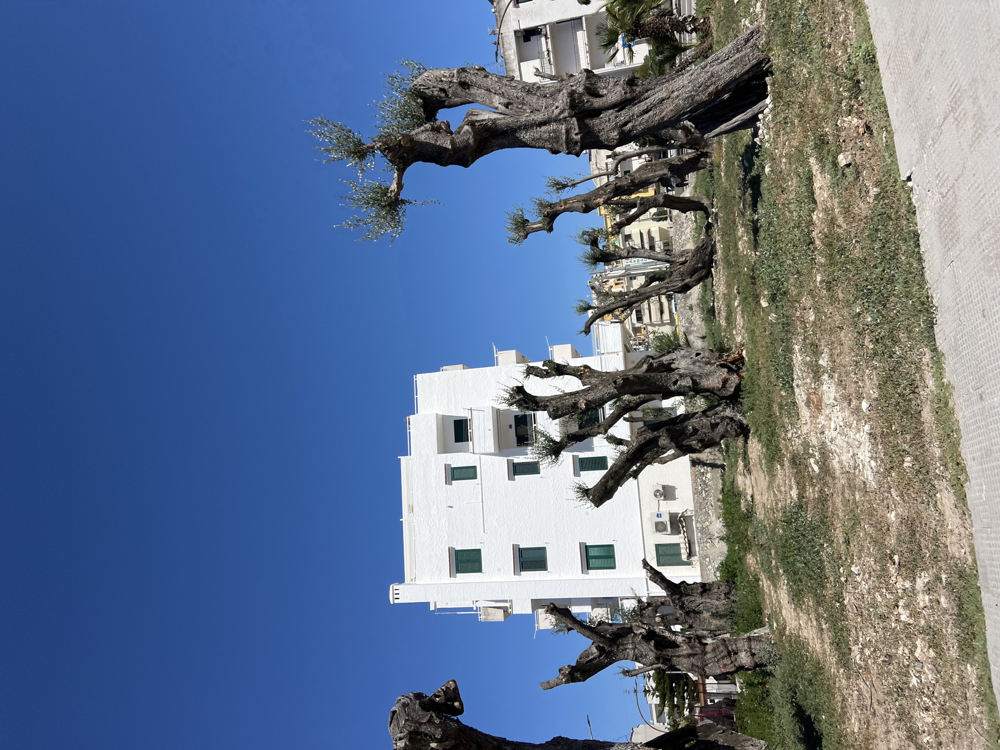 Sunny afternoon scenes along the Vieste coastline
