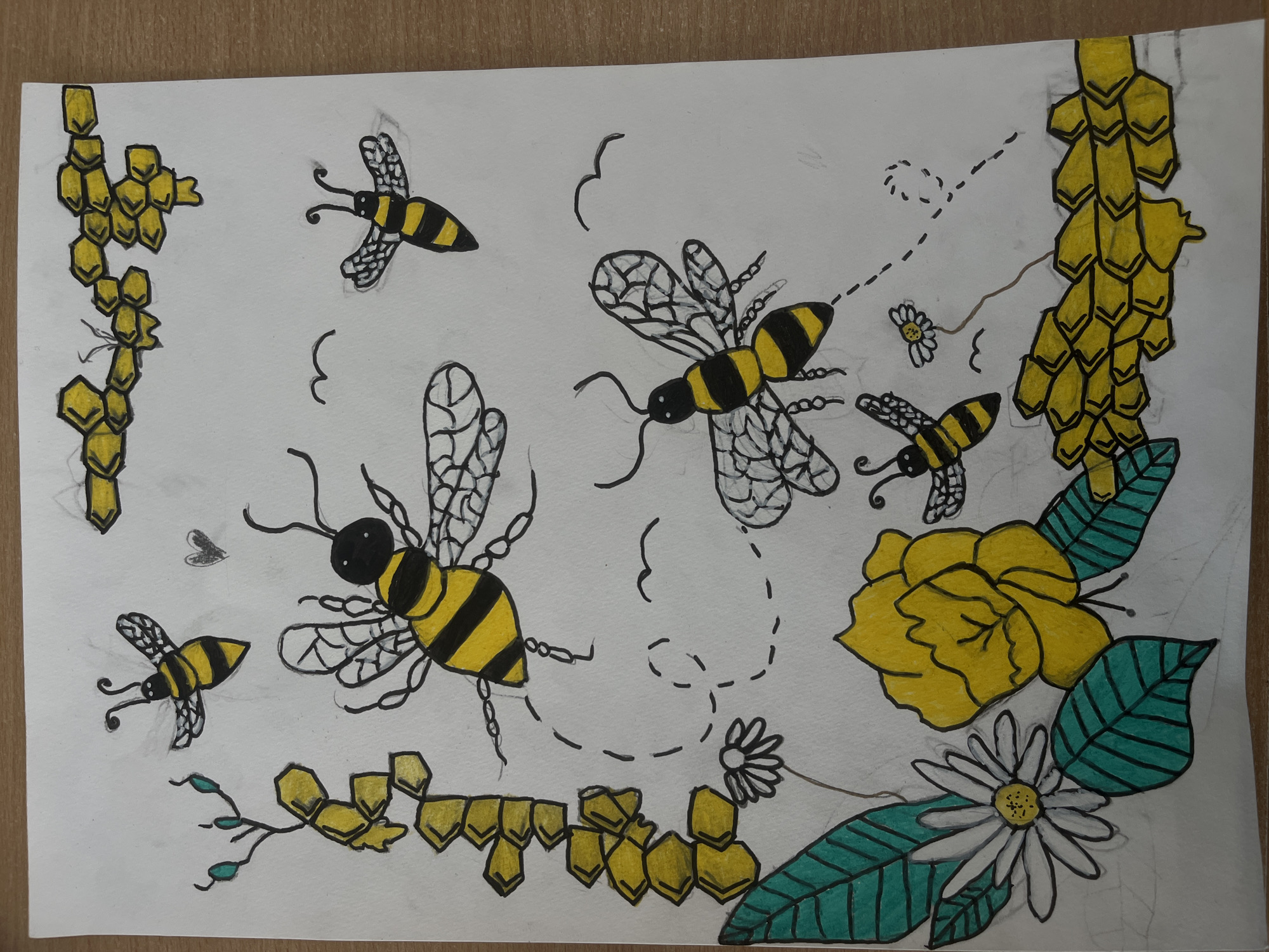 Student artwork and school activities documented in Karnobat, Bulgaria