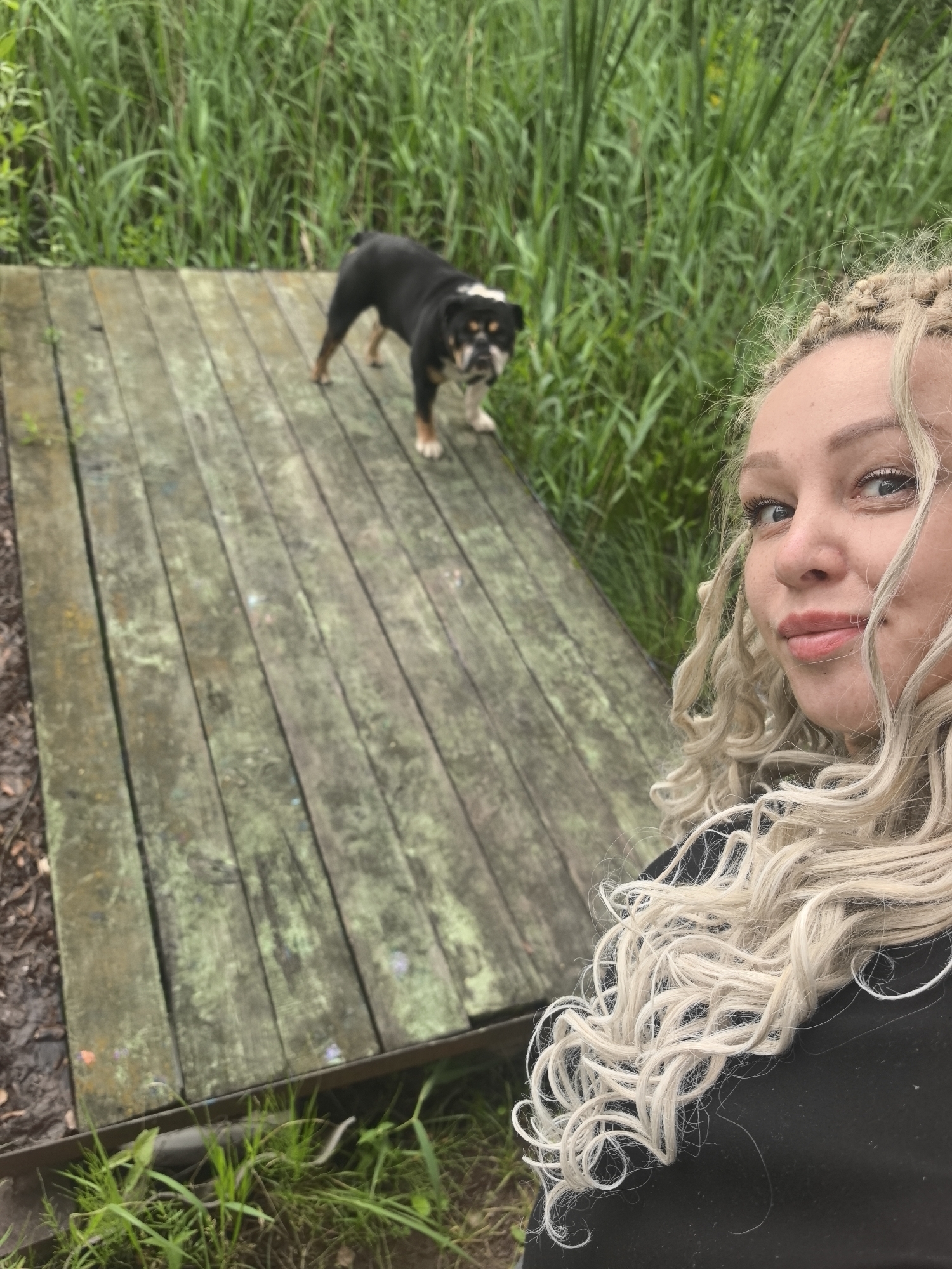 Boardwalk hangout with a bulldog near water, Noviy Russia