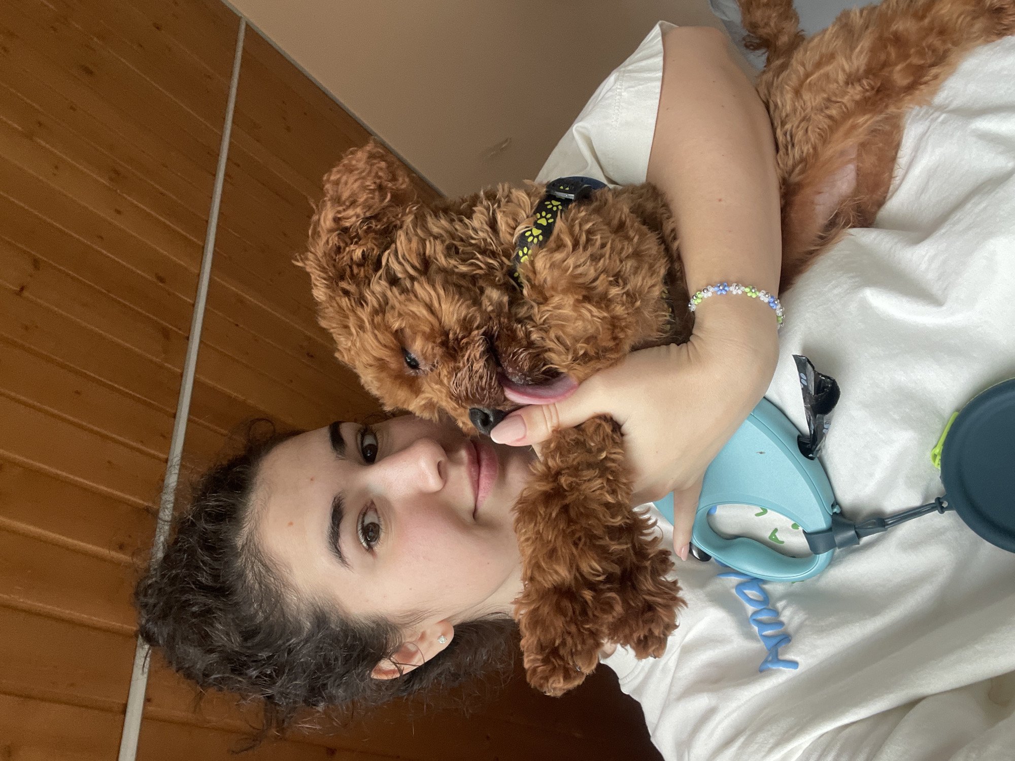 Woman spends morning with pet poodle in Sofia home