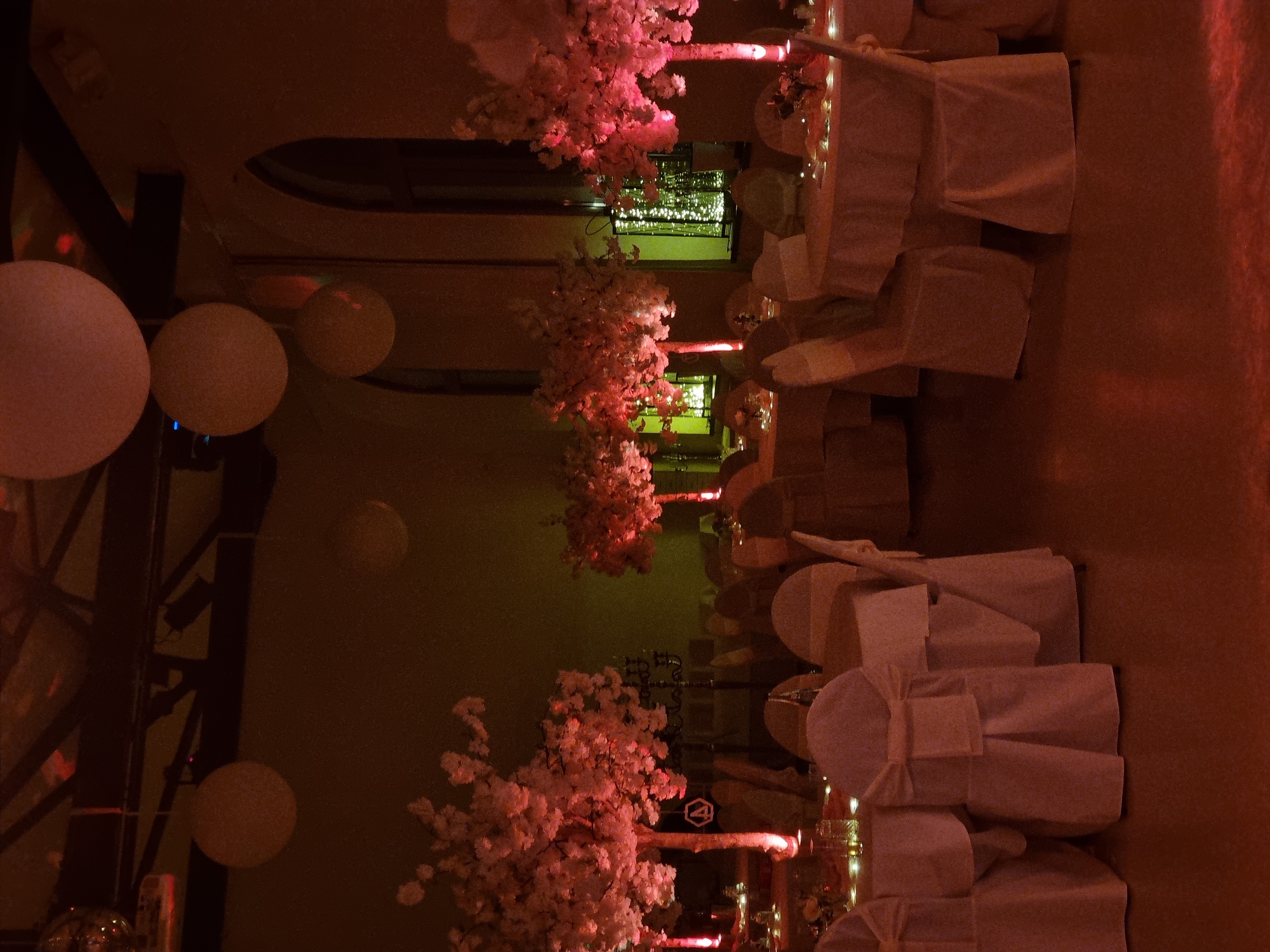 Wedding reception held in decorated Saarbrücken banquet hall