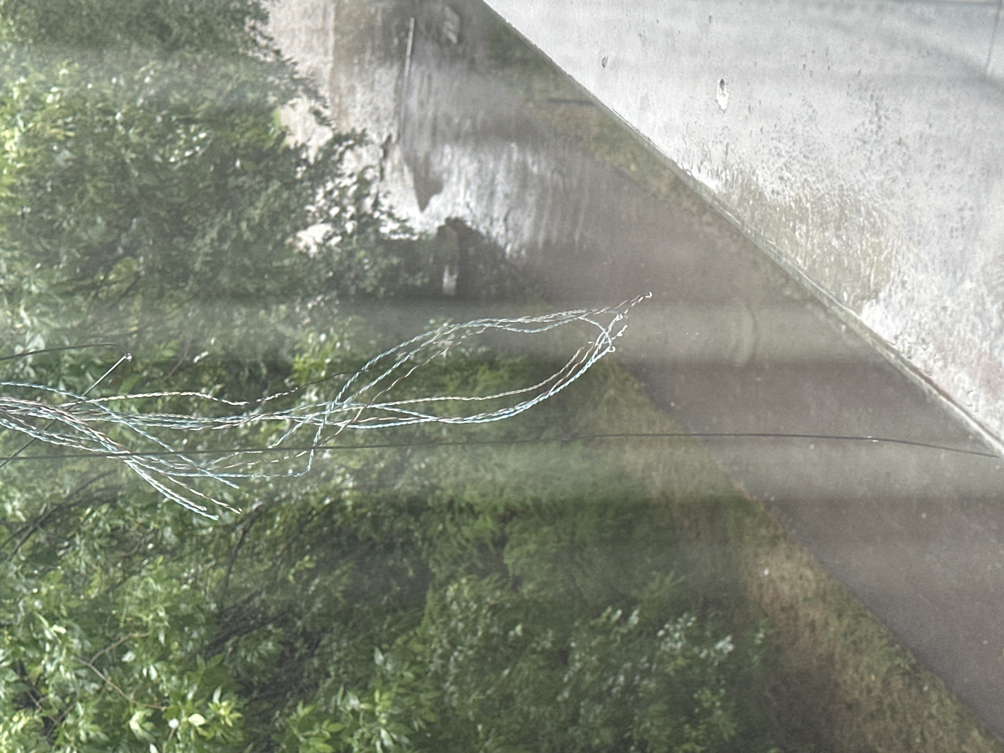 Heavy rainfall and lush green canopies documented in Sofia