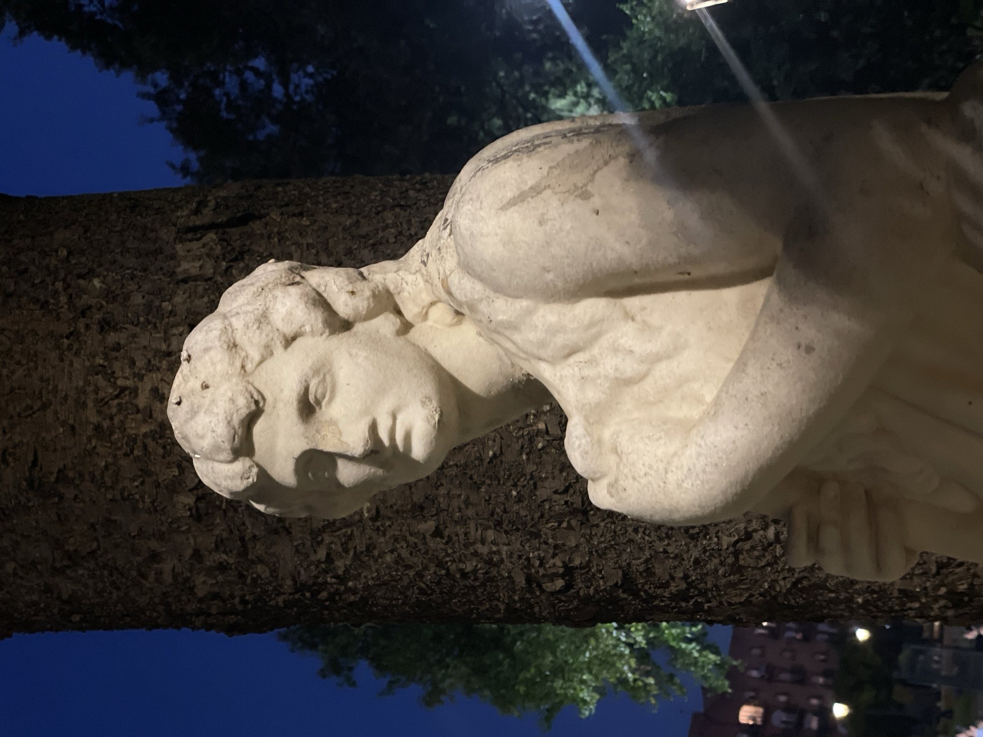 Evening walk through a garden park in La Línea de la Concepción