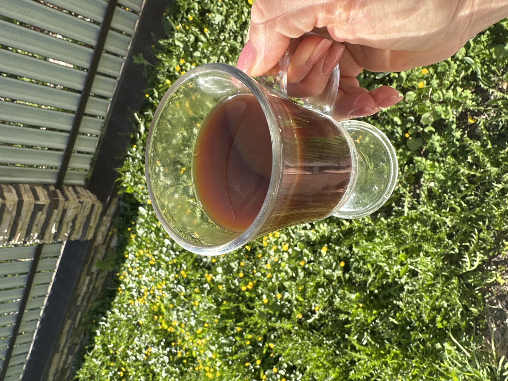 Morning domestic moments captured in Nizhny Novgorod backyard