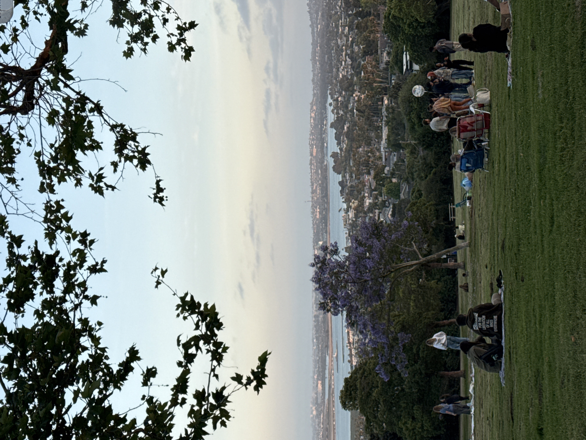 Early morning hillside gathering overlooks San Diego waterfront