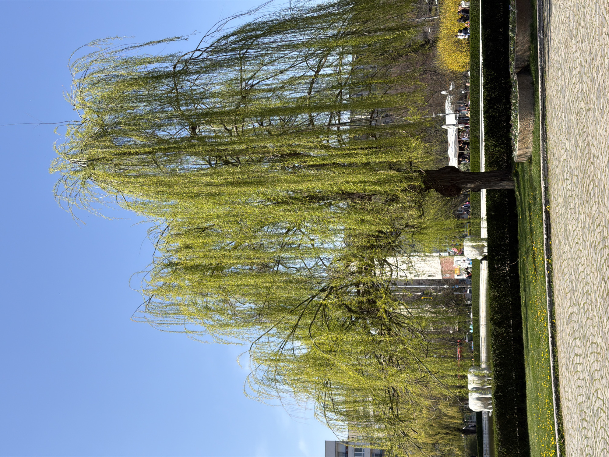 Spring morning scenes captured across Sofia parks and walkways