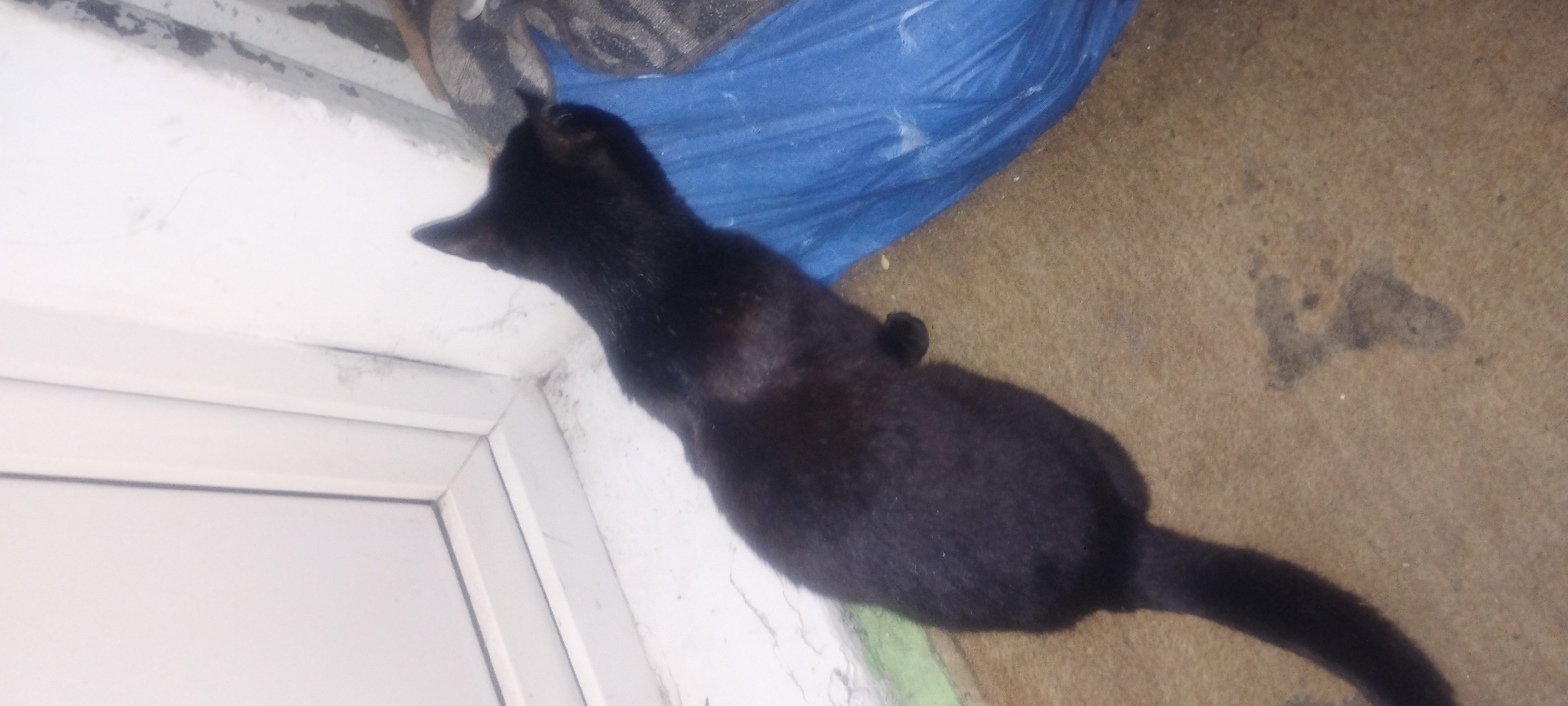 Late-night home snapshots from Zaporizhzhia, Ukraine