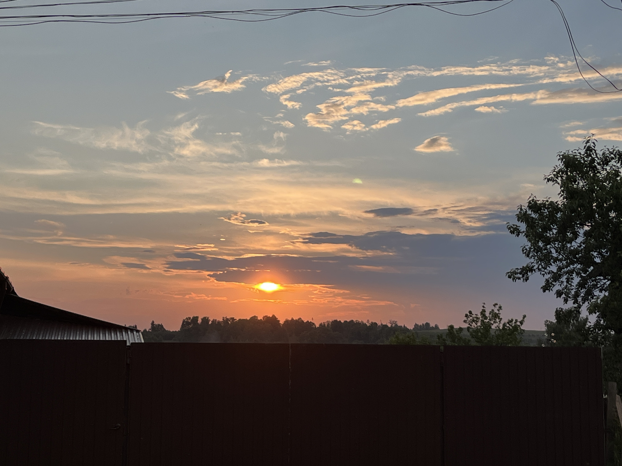 Sunset photo session with peonies in Foky, Russia