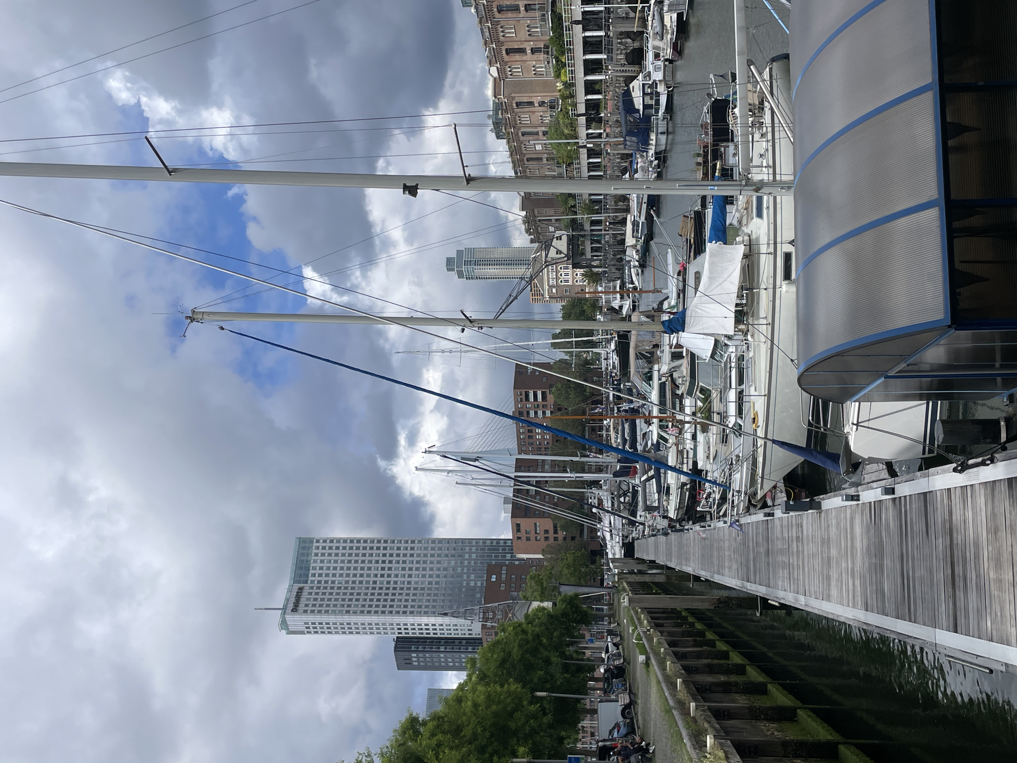 Overcast morning captures busy Rotterdam marina scene