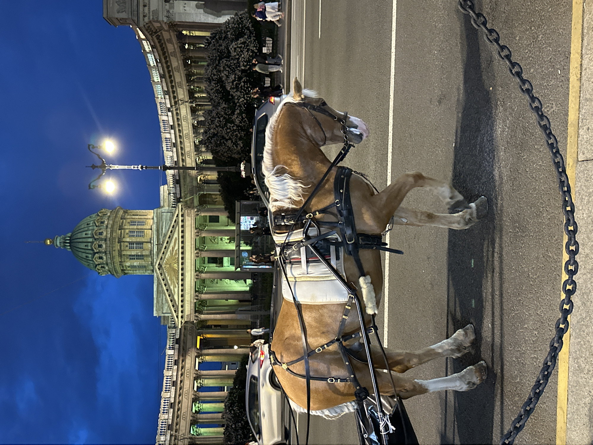 Saint Petersburg evening street scenes captured around Kazan Cathedral