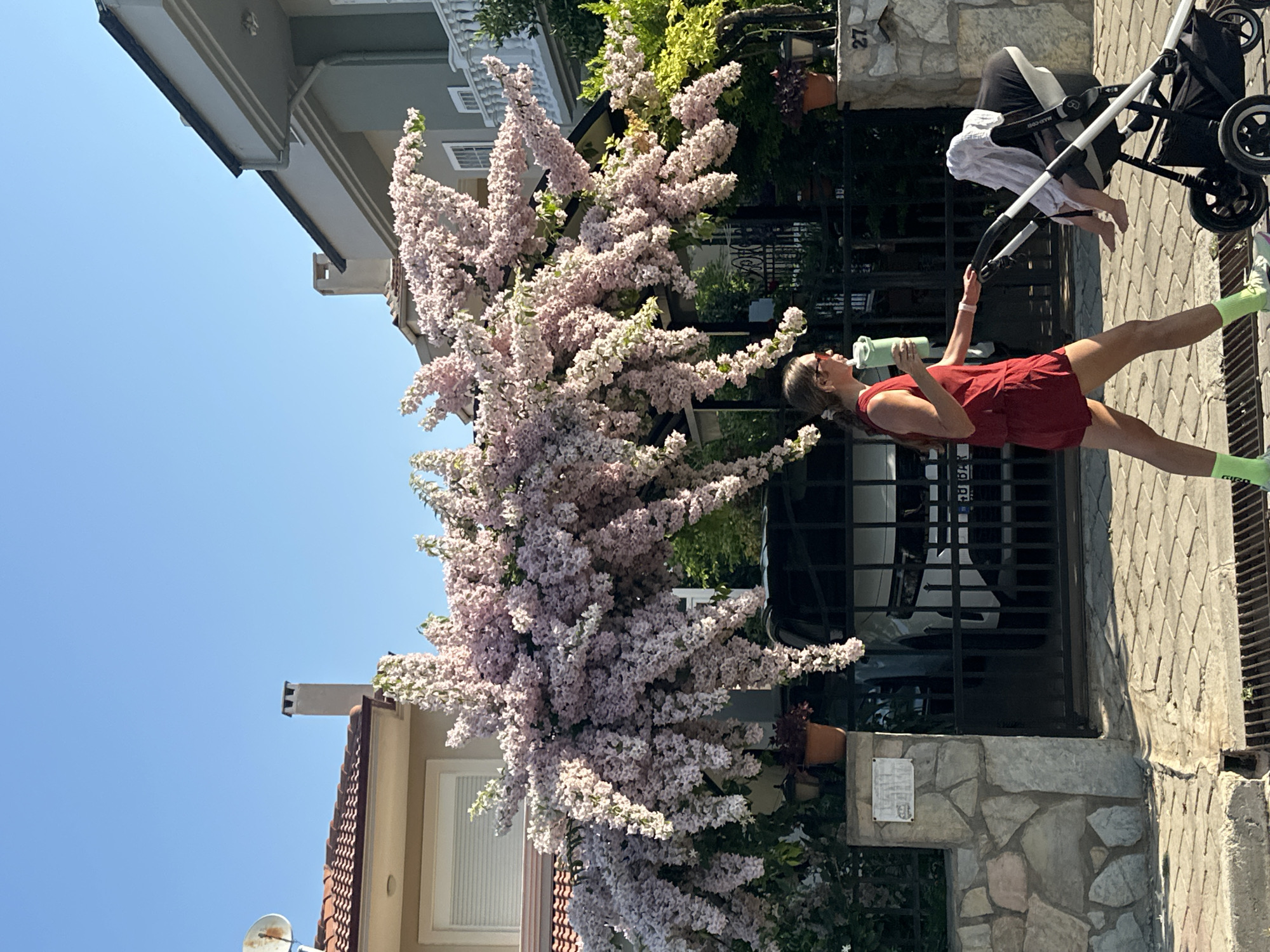 Morning stroll and street scenes along Fethiye's waterfront path