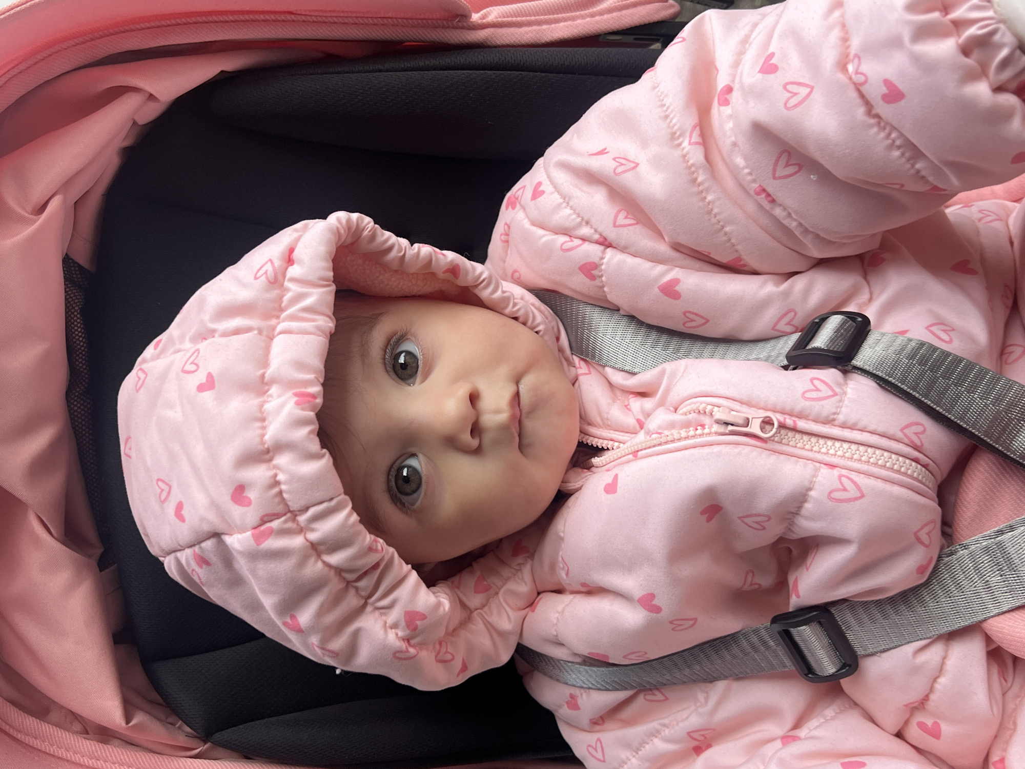 Baby in pink snowsuit spotted in stroller in Elena
