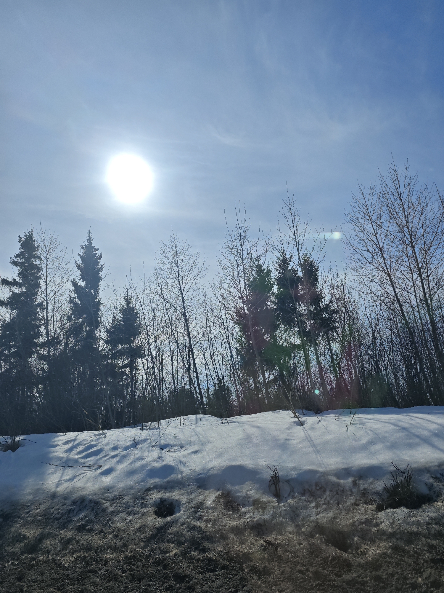 Winter scene captured in rural Garevaya, Russia