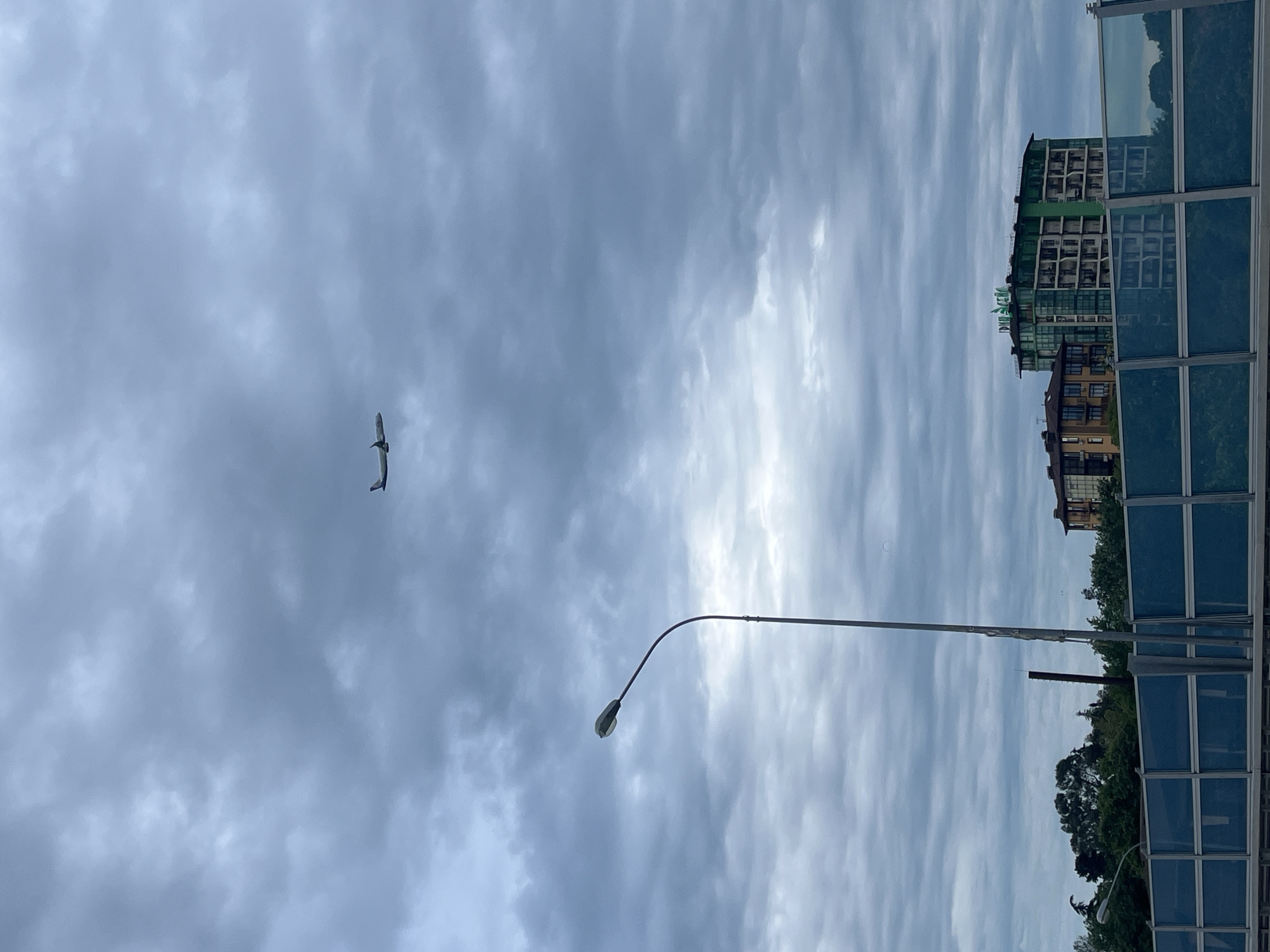 Ordinary moments captured in Sochi: birds flying, woman resting