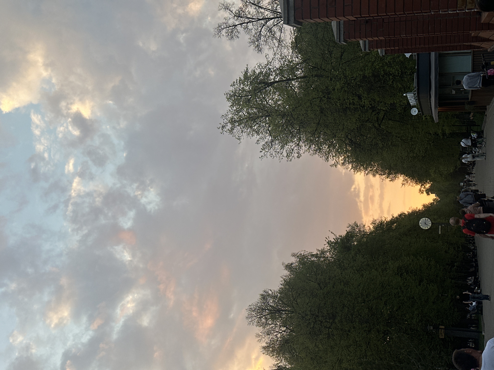 Urban street scene captured during sunset with tree canopy