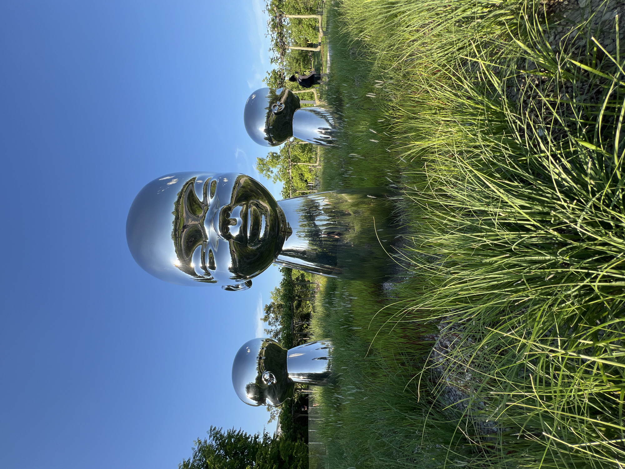 Chrome head sculptures documented in Krasnodar park during sunny afternoon