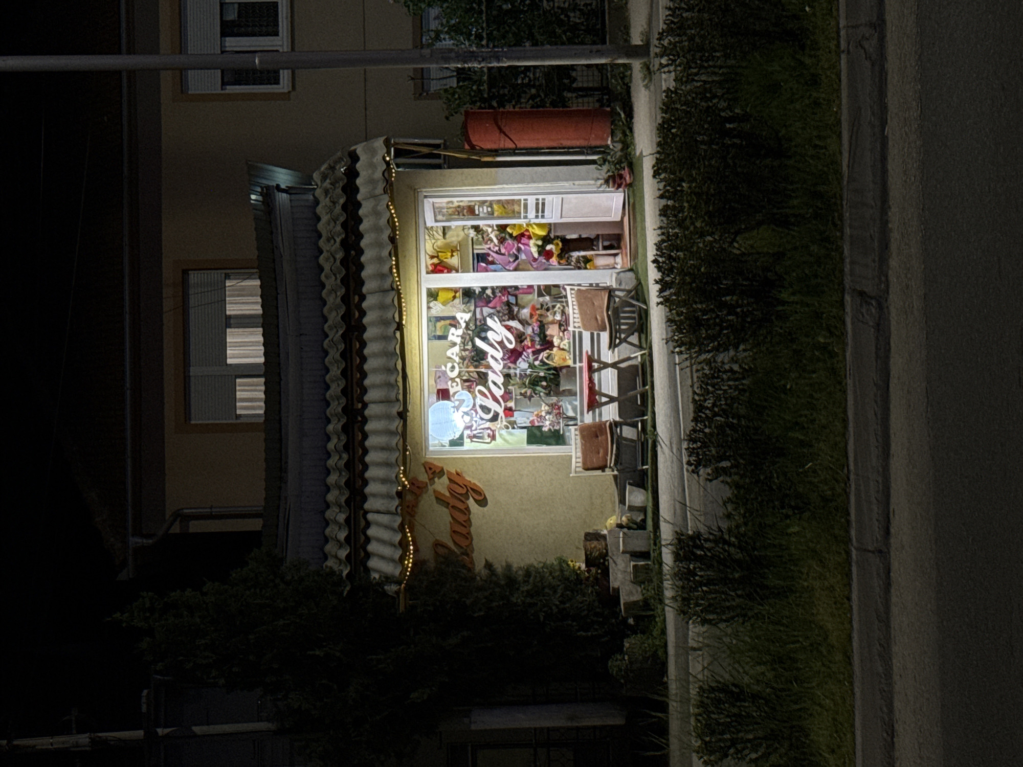 Evening documentation of flower shop and personal items in Kragujevac