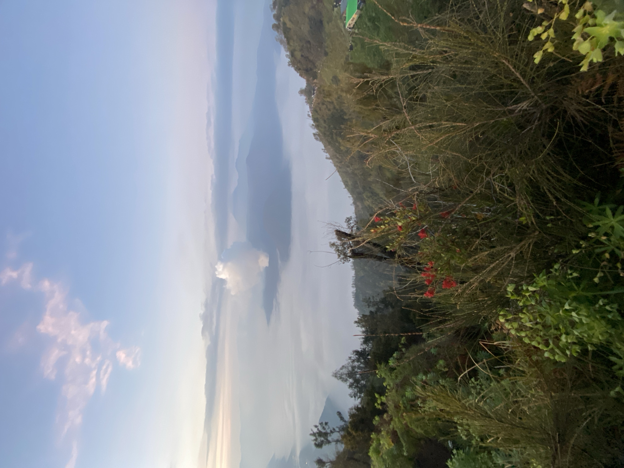 Natural landscape with red flowering bush observed in Cemorolawang