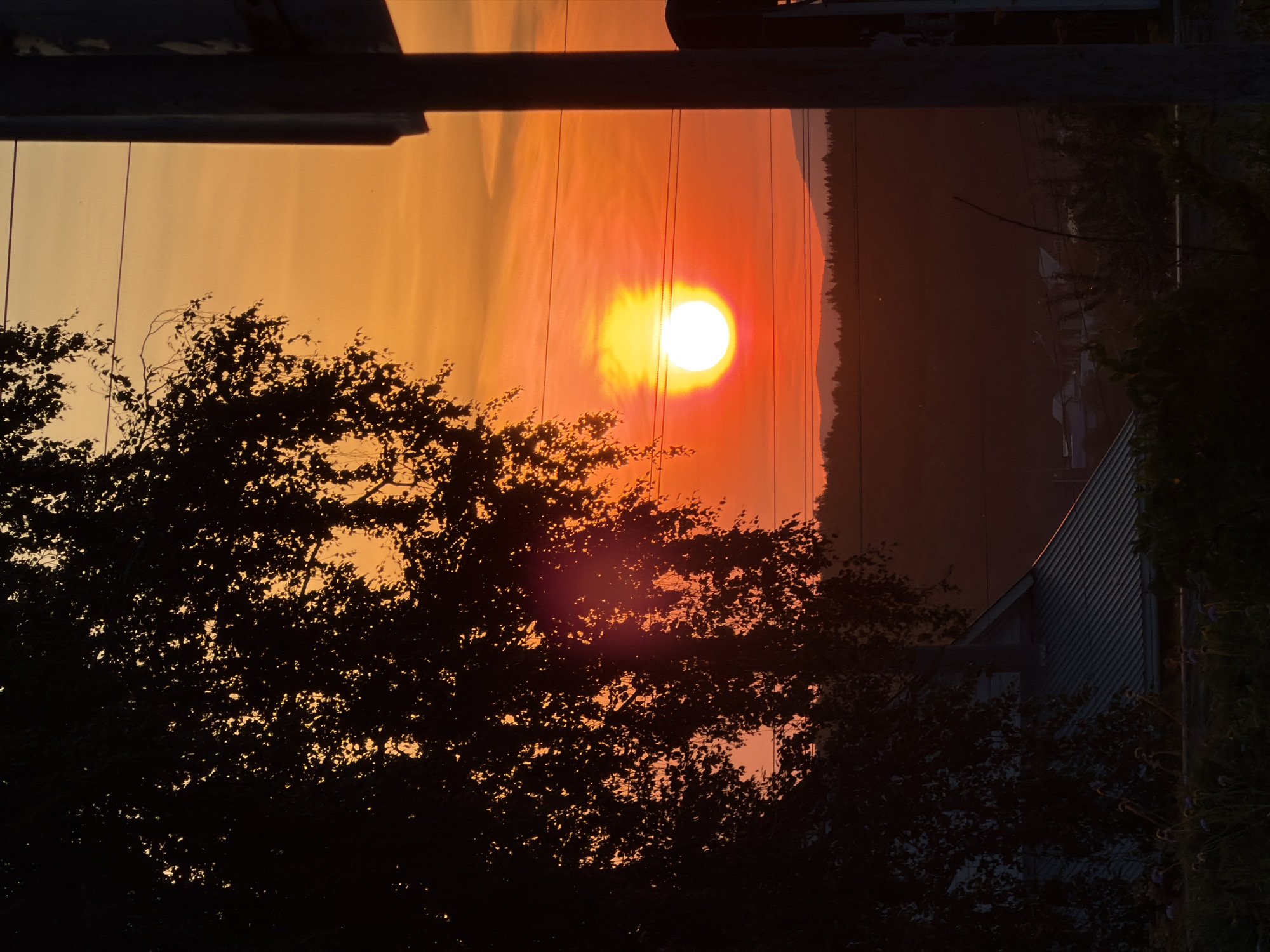 Rural sunset with utility poles, treeline, and a half-moon