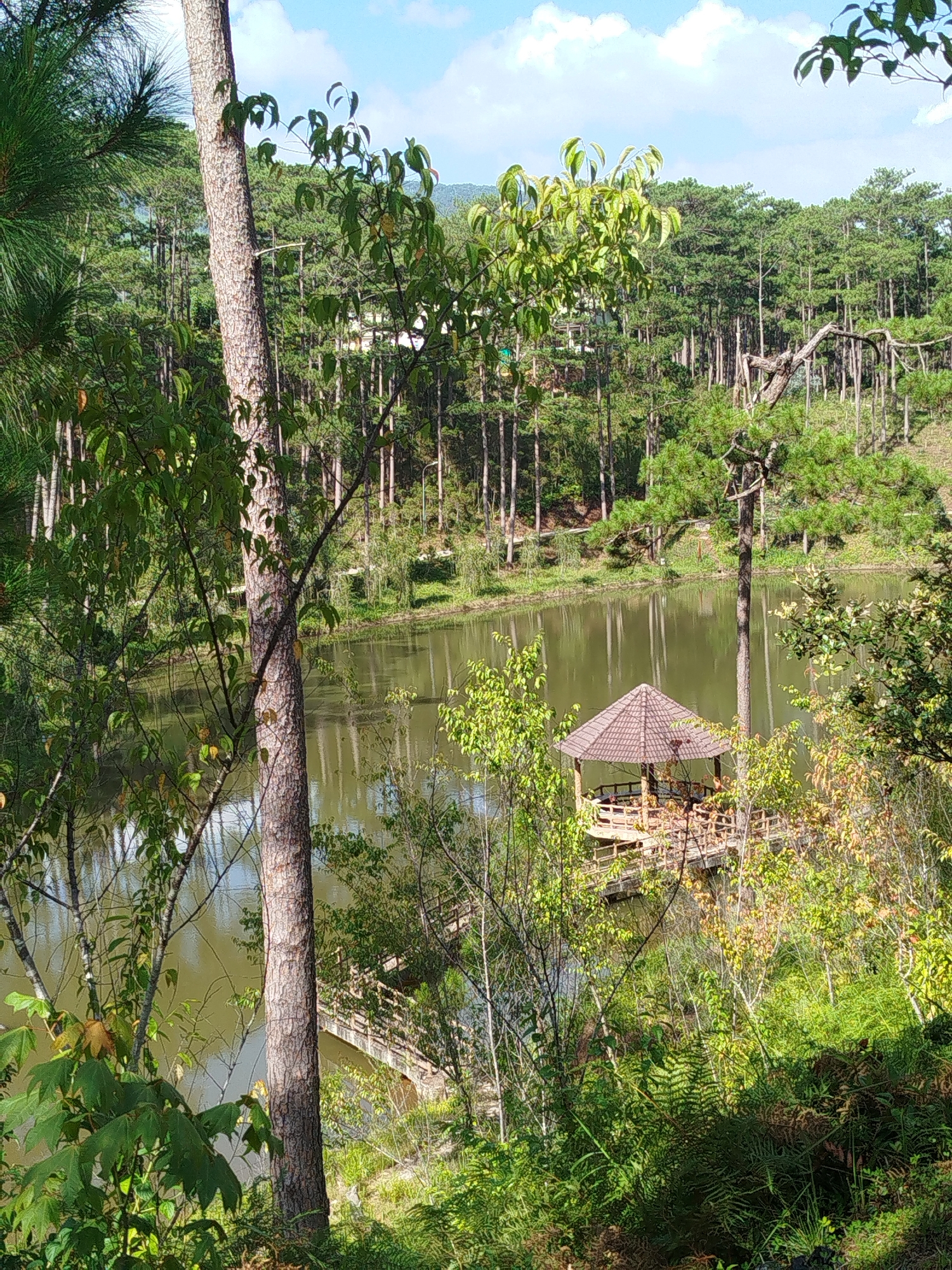 Quiet morning at a pine-fringed lake retreat in Đạ Cháy