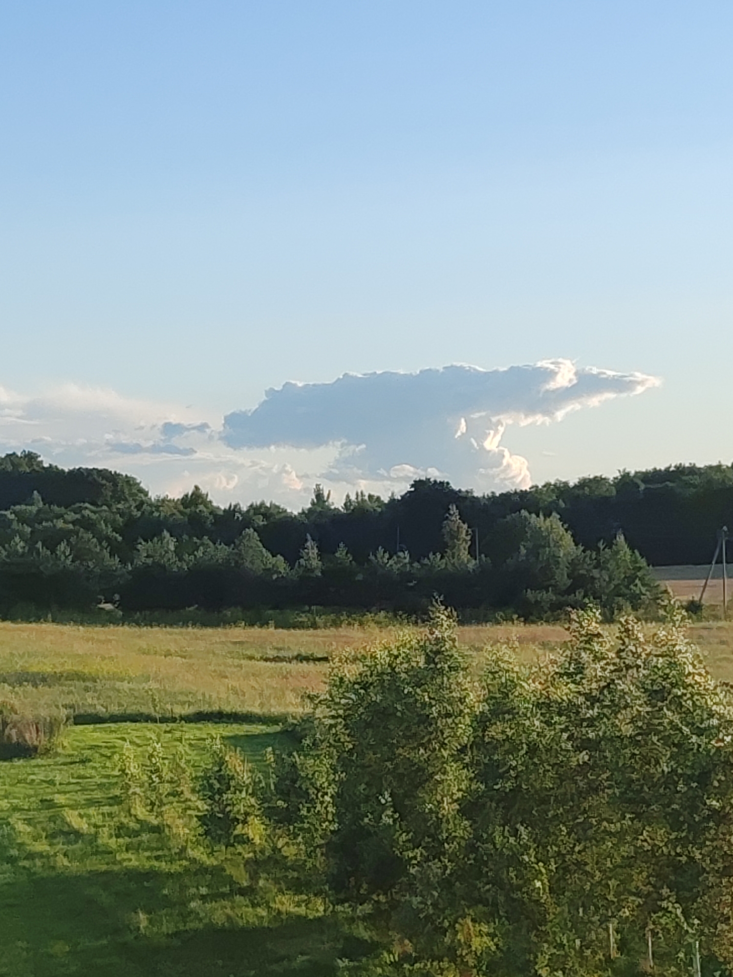 Edise, Estonia