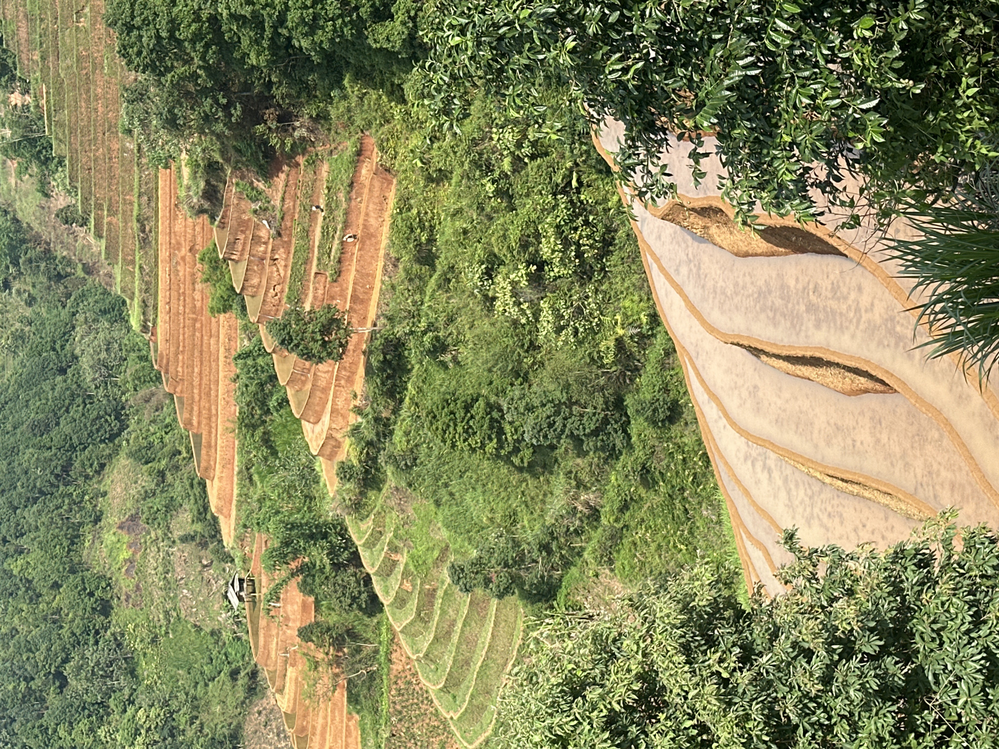 Tourist photographs capture Lao Chai Vietnam rice terraces morning
