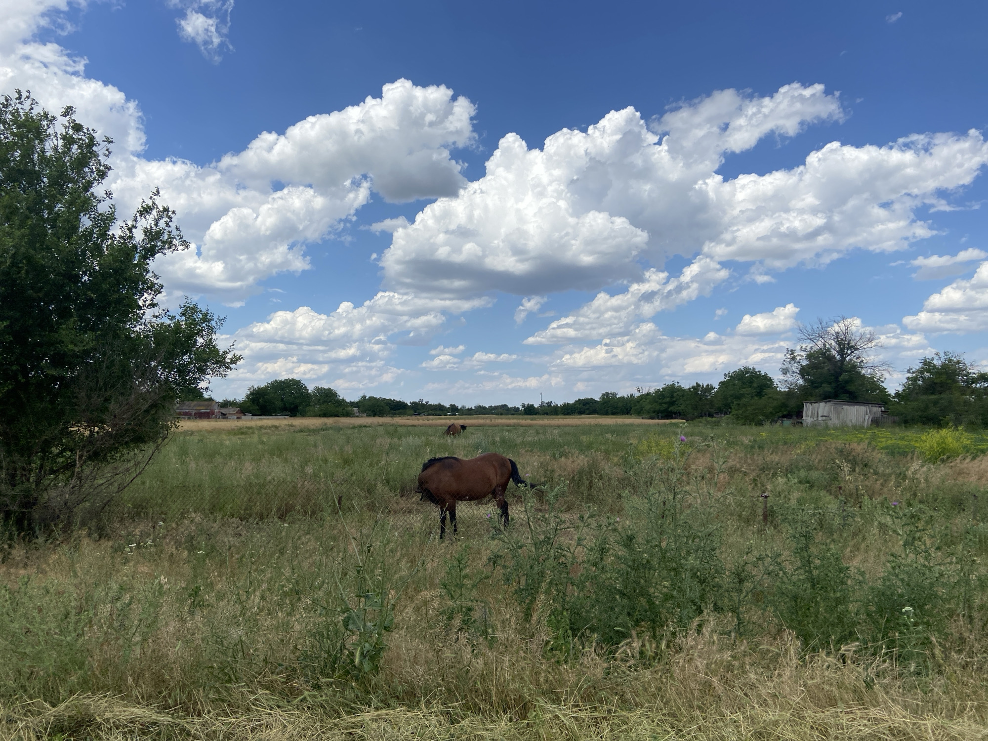 Dry fields and open skies across rural southern Russia