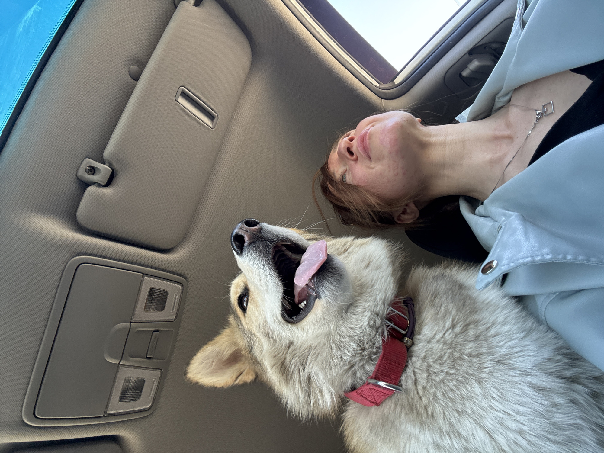 Woman poses playfully with husky in car, Russia