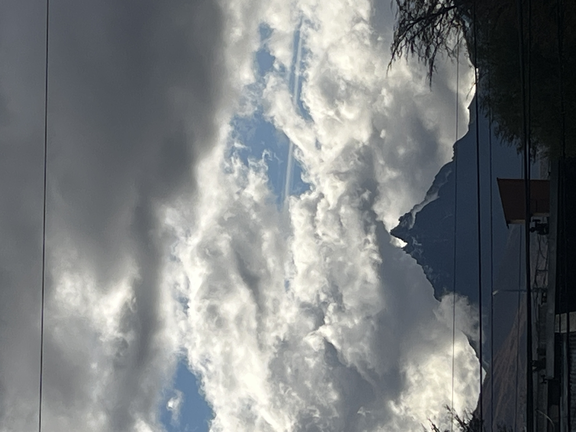Daily life documented in Ushuaia: mountains, clouds, cat