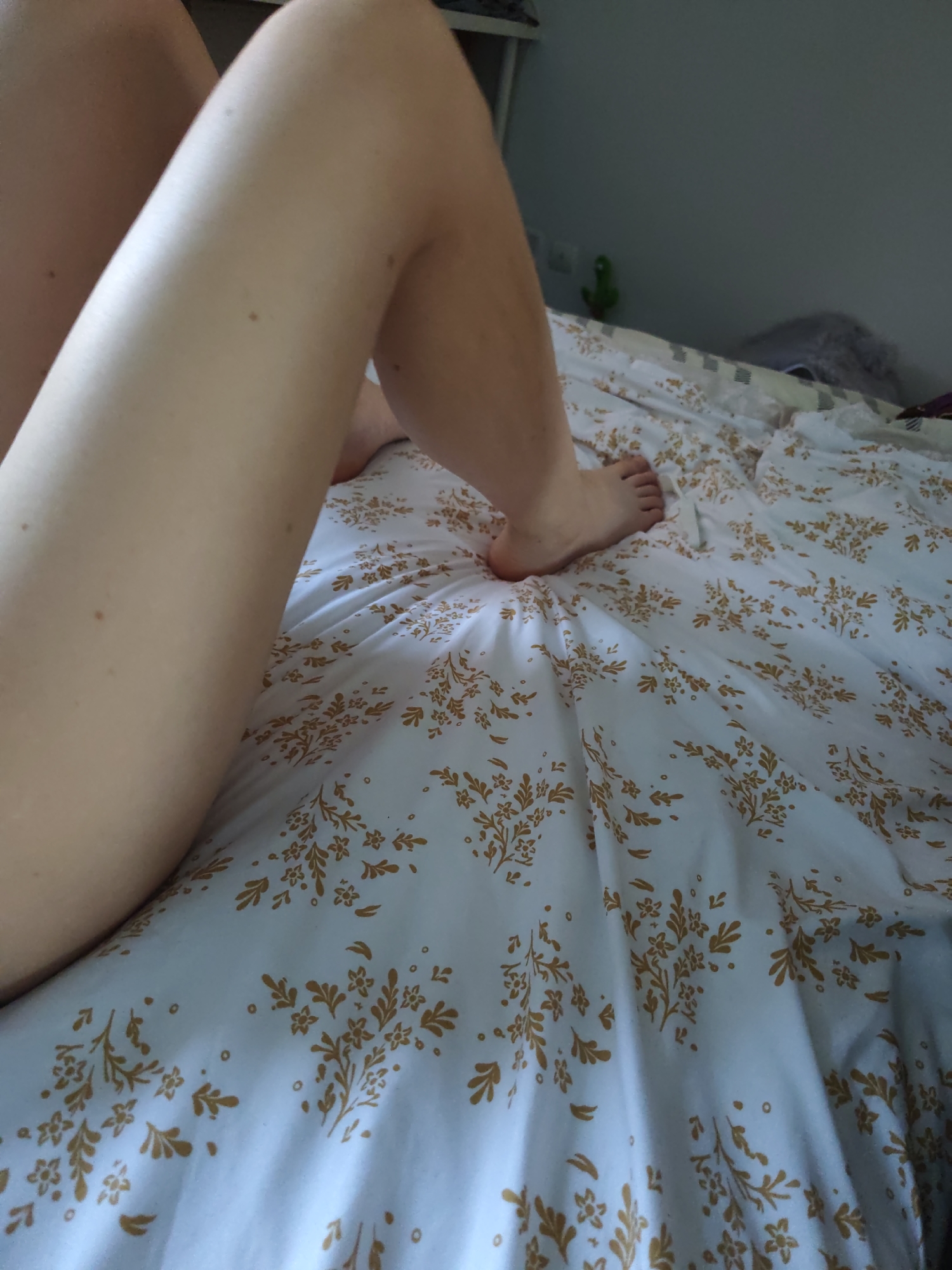 Chilling on the bed with a chihuahua in Łódź