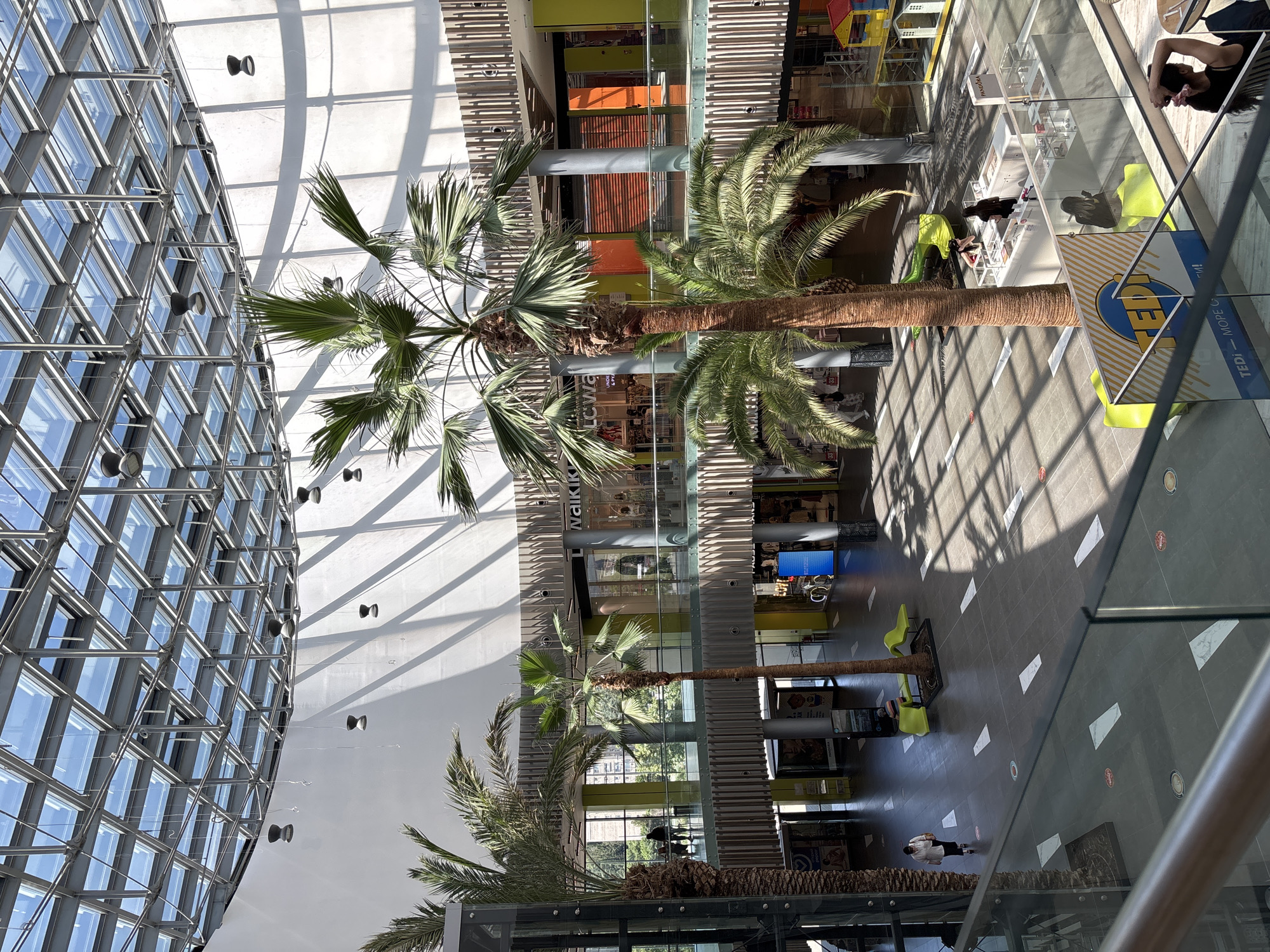 Daily life documented in Stara Zagora shopping district