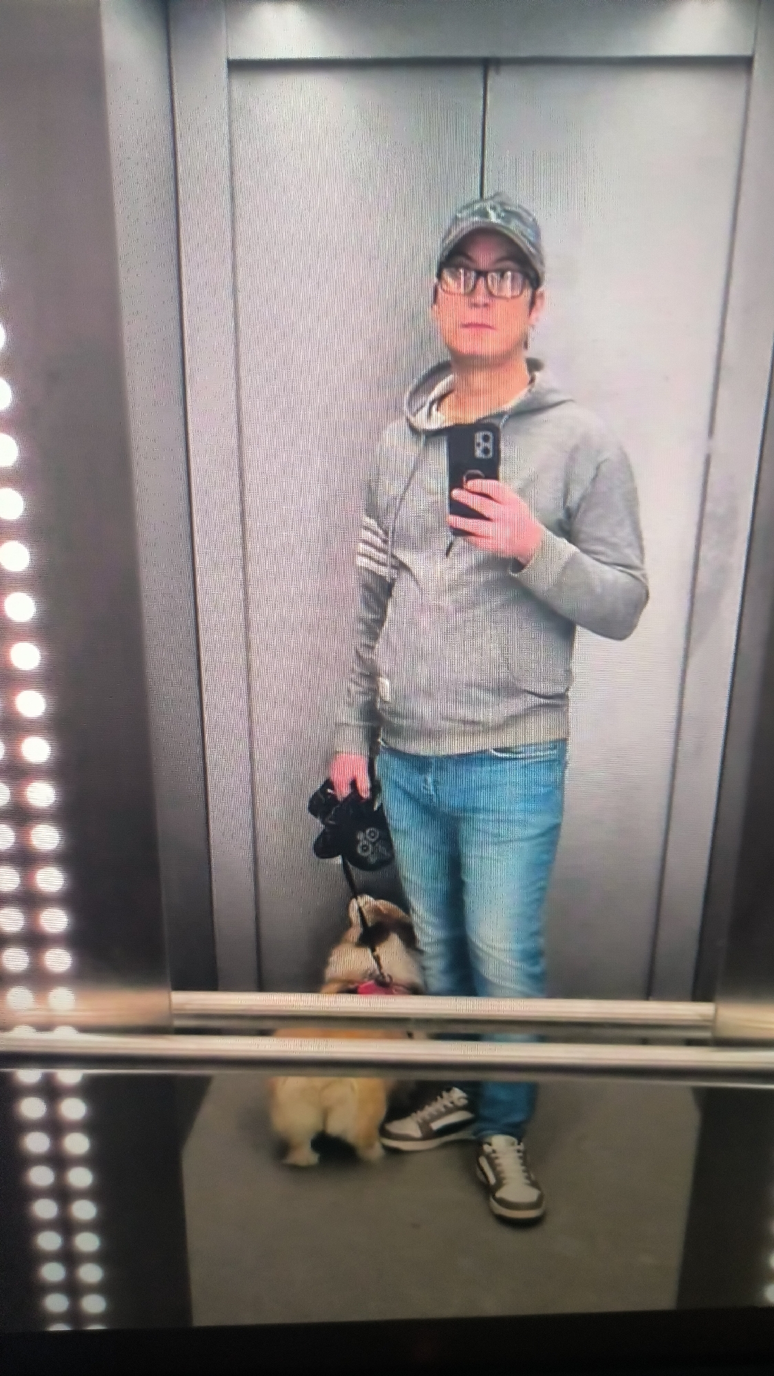 Afternoon at home in Kovrov: pets, rooms, and street views
