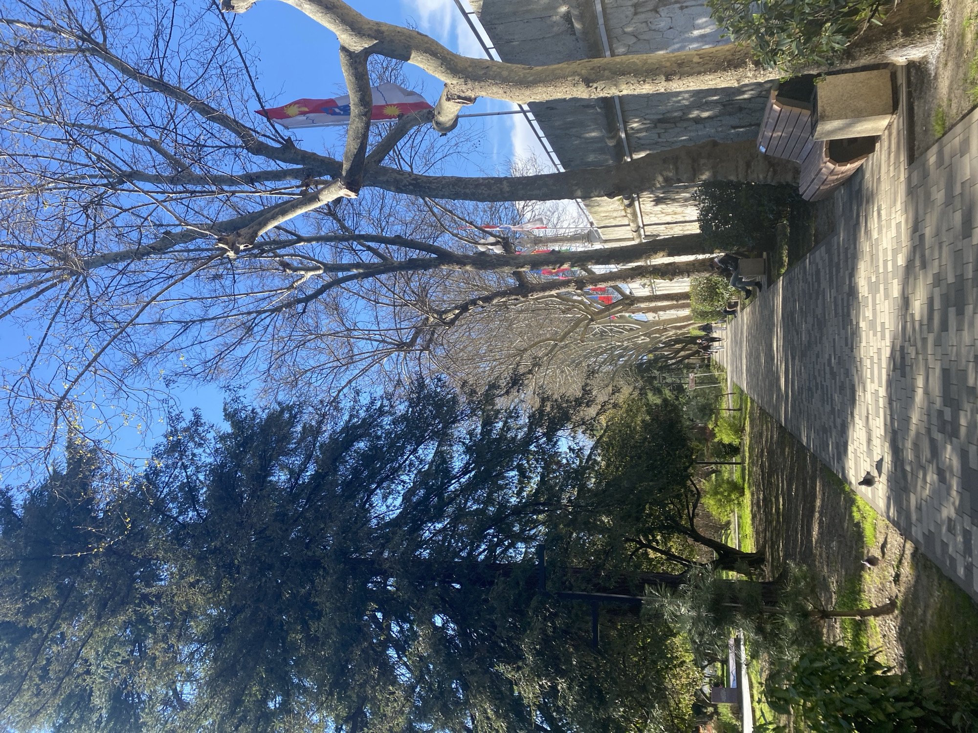 Daytime scenes captured across Sochi's pedestrian areas and parks