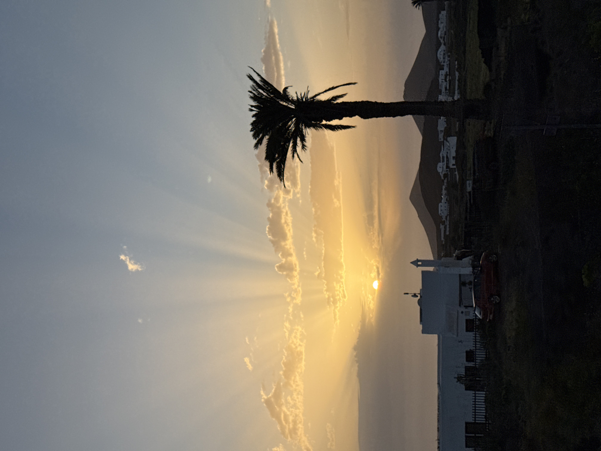 Sunset captured with silhouetted palm tree in Yaiza, Spain